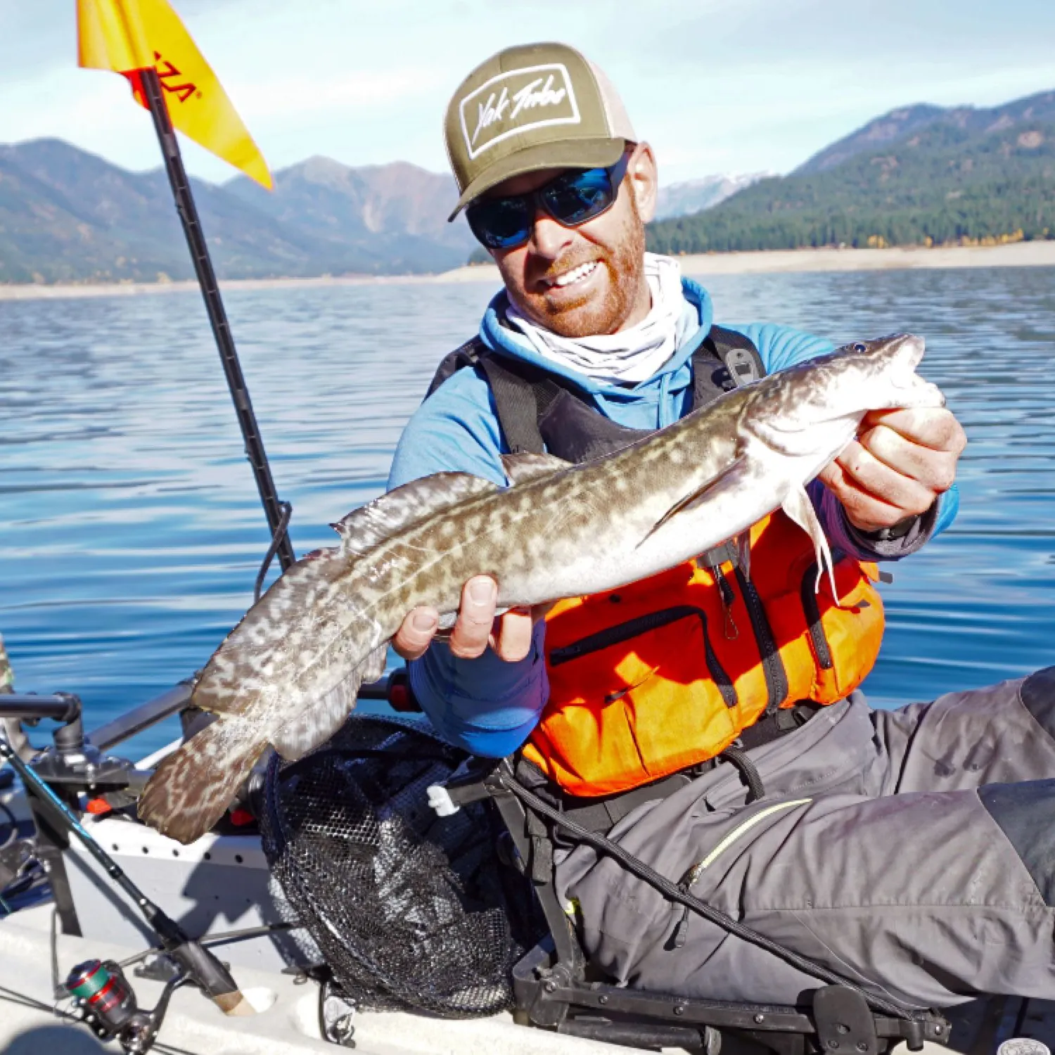 The most popular recent Burbot catch on Fishbrain