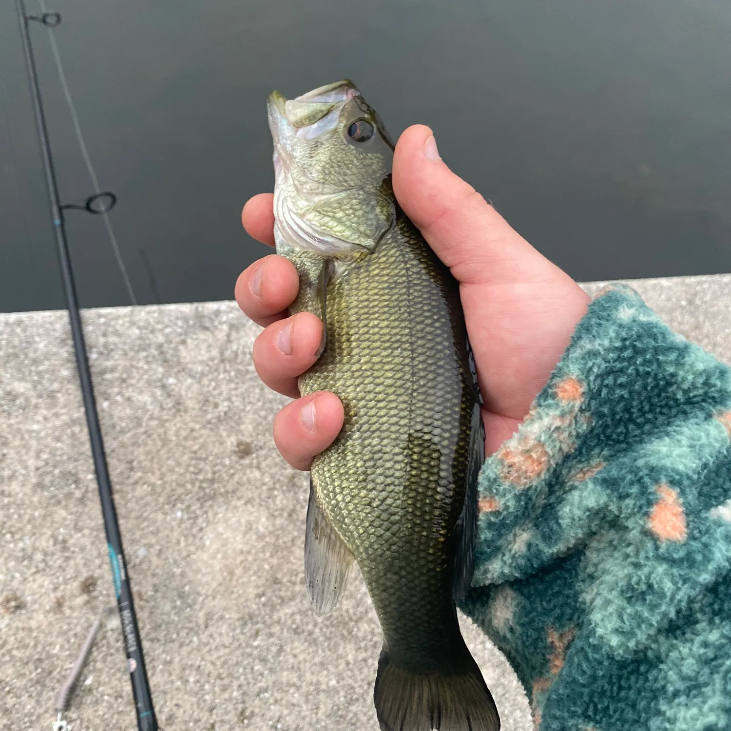 ᐅ Lake Pocahontas fishing reports🎣• Morristown, NJ (United States) fishing