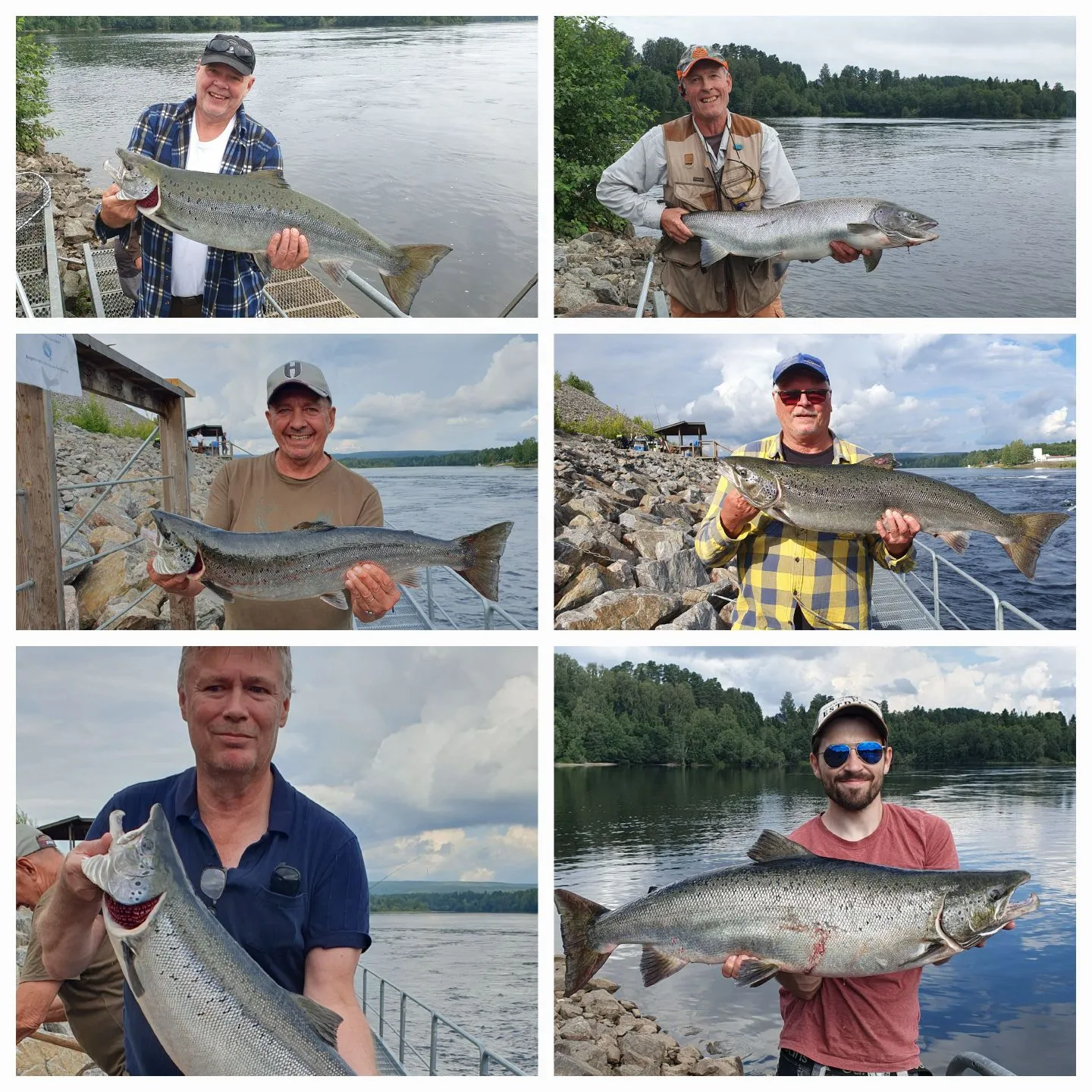 recently logged catches