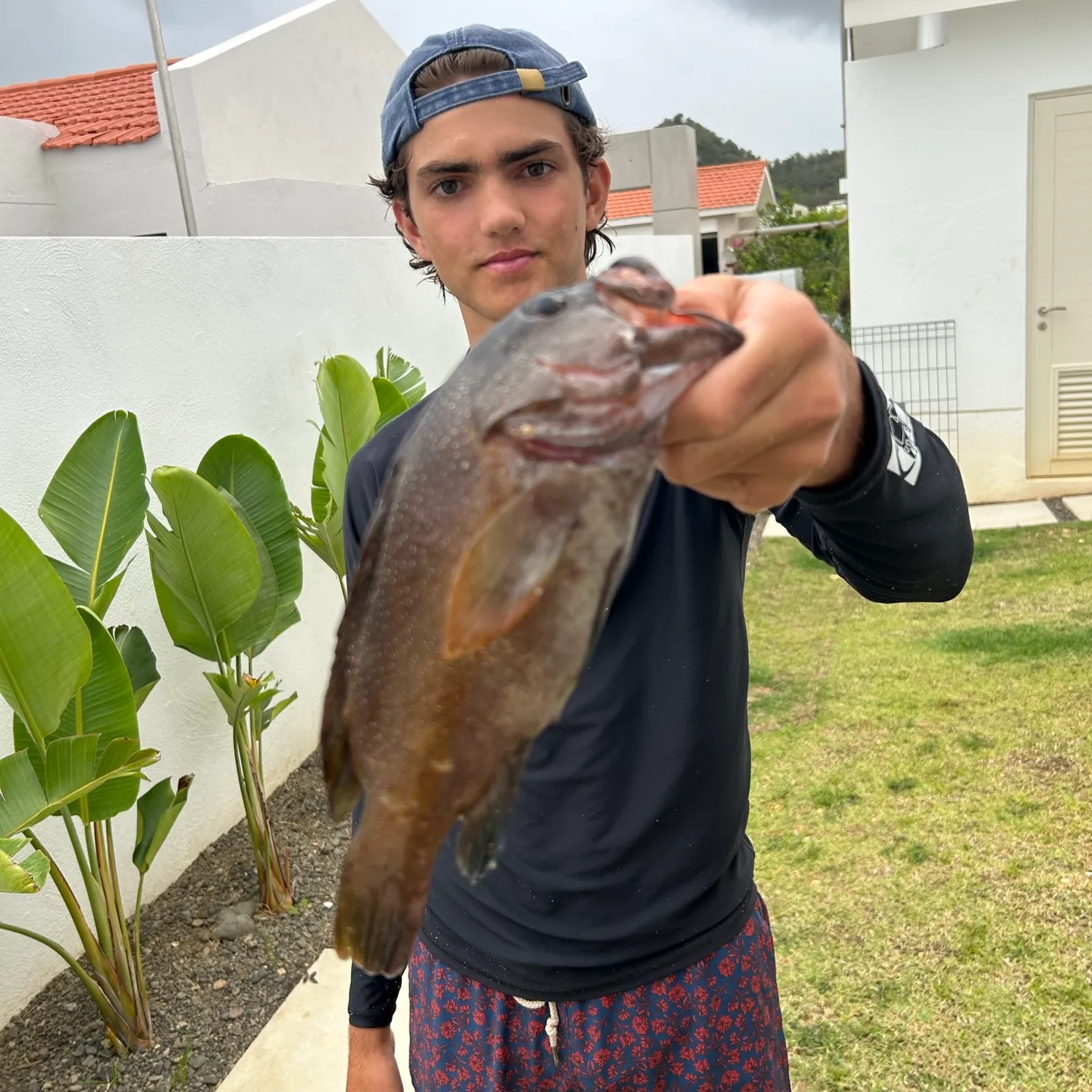 The most popular recent Coney grouper catch on Fishbrain