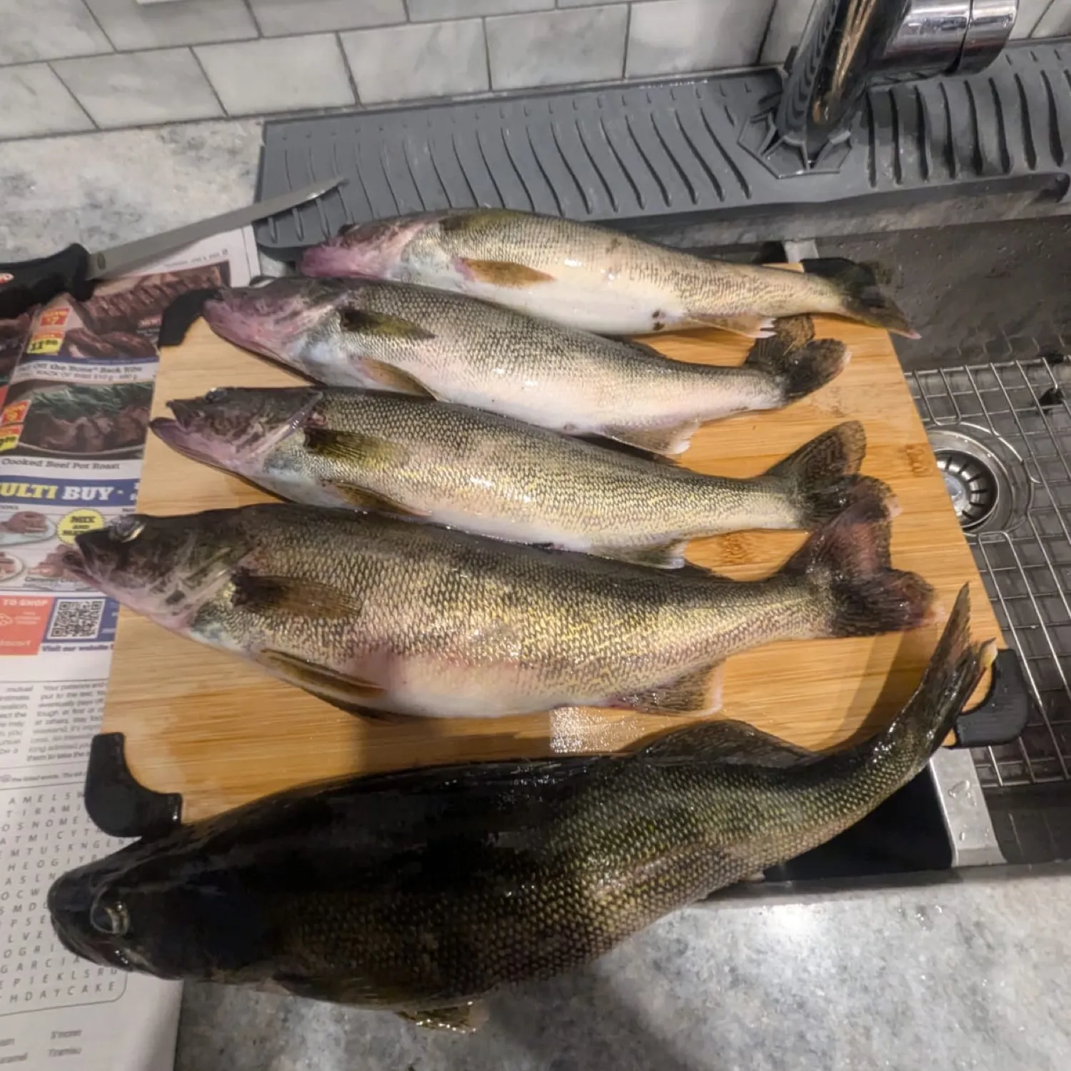 recently logged catches