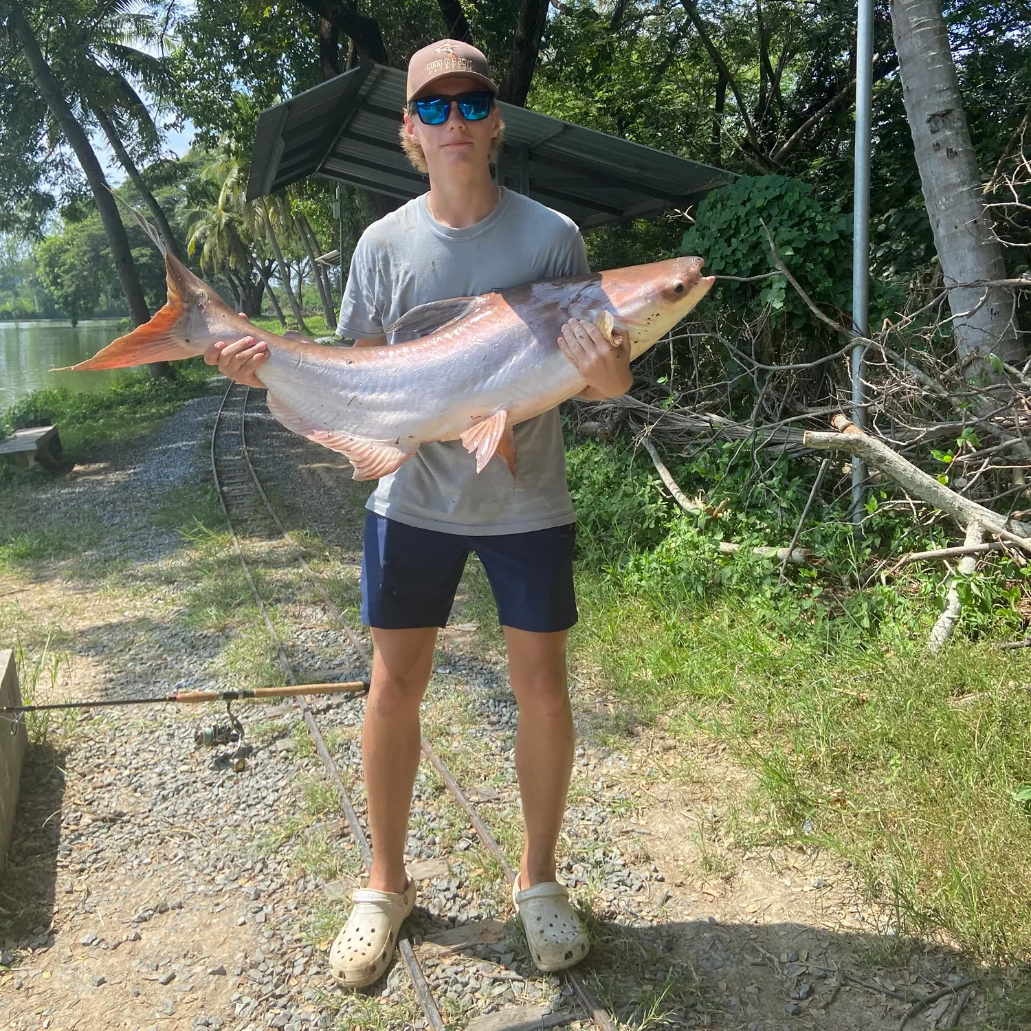 The most popular recent Striped catfish catch on Fishbrain