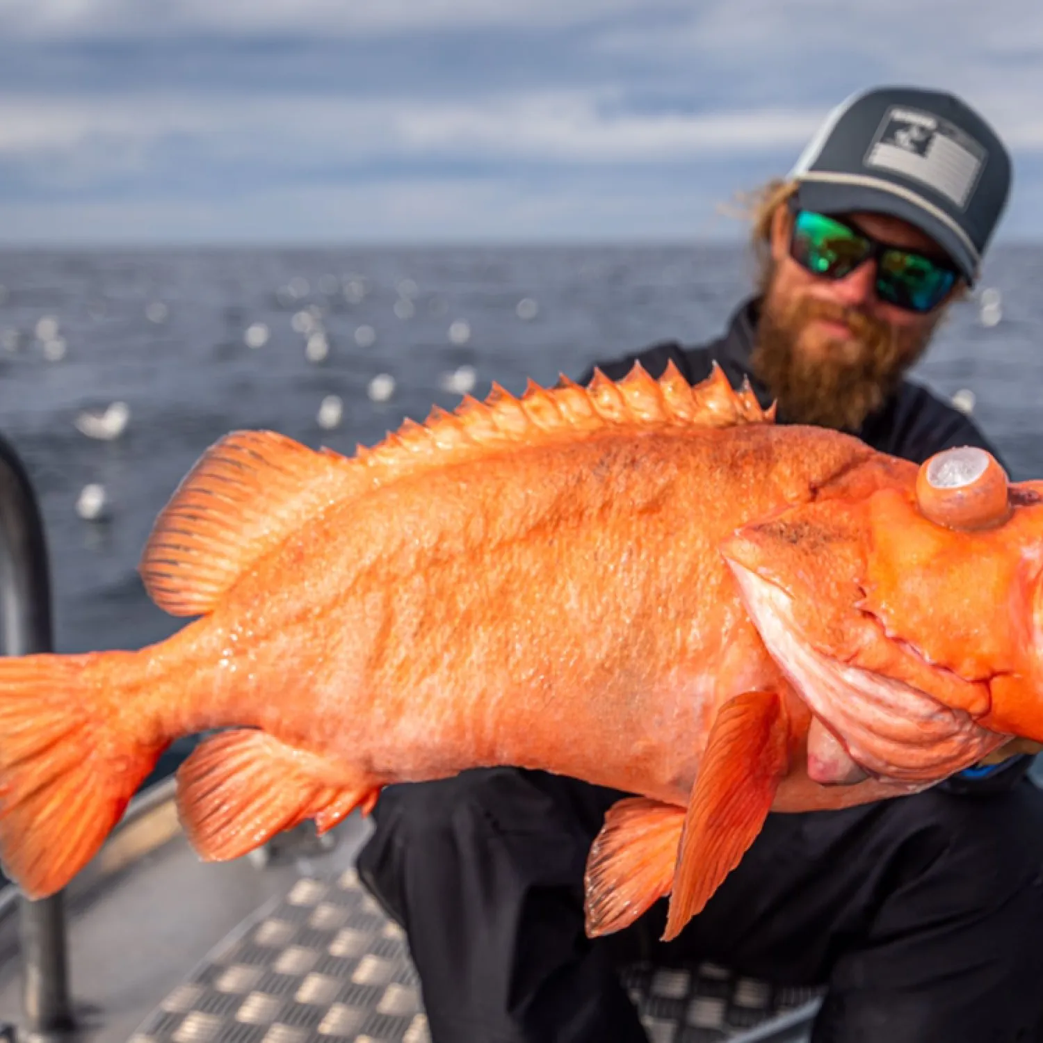 The most popular recent Atlantic ocean perch catch on Fishbrain