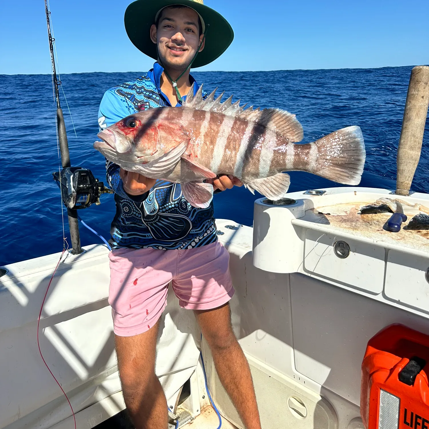 The most popular recent Comet grouper catch on Fishbrain