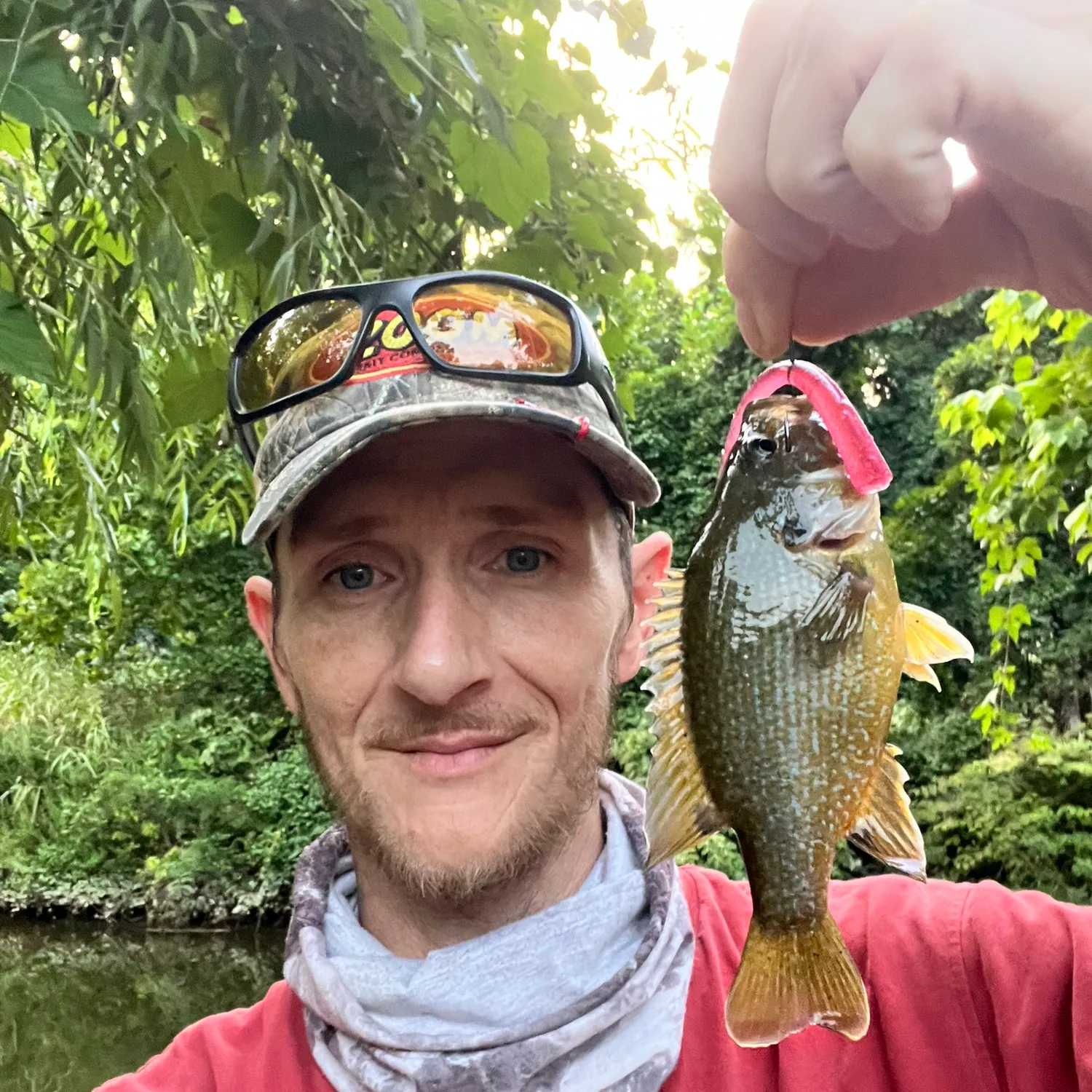 The most popular recent Green sunfish catch on Fishbrain