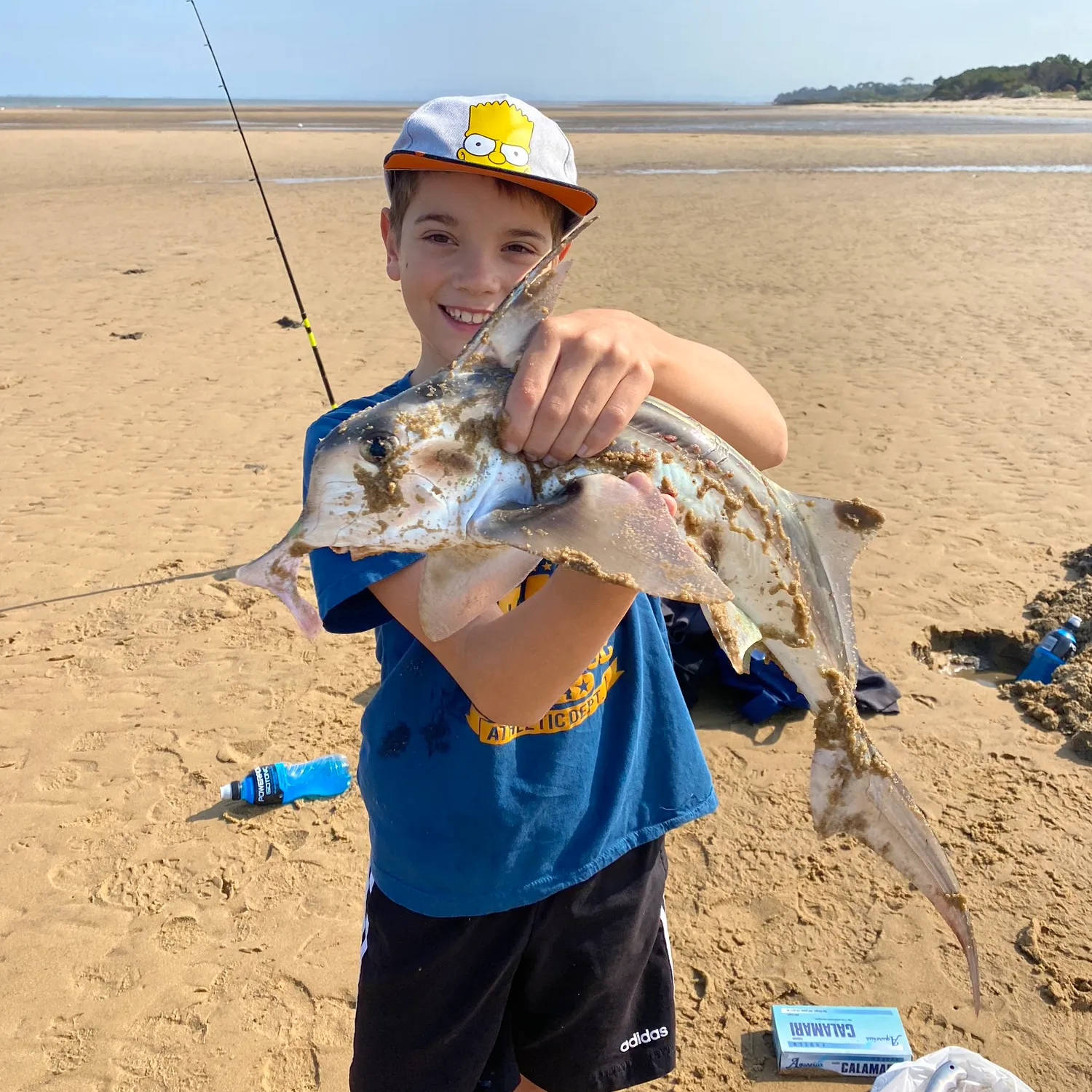 The most popular recent Cape elephantfish catch on Fishbrain