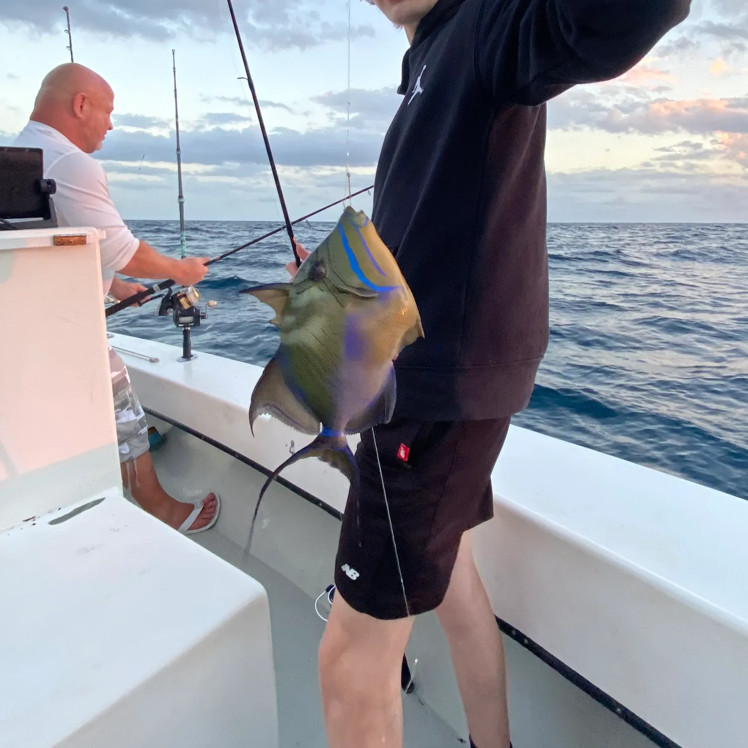 The most popular recent Queen triggerfish catch on Fishbrain