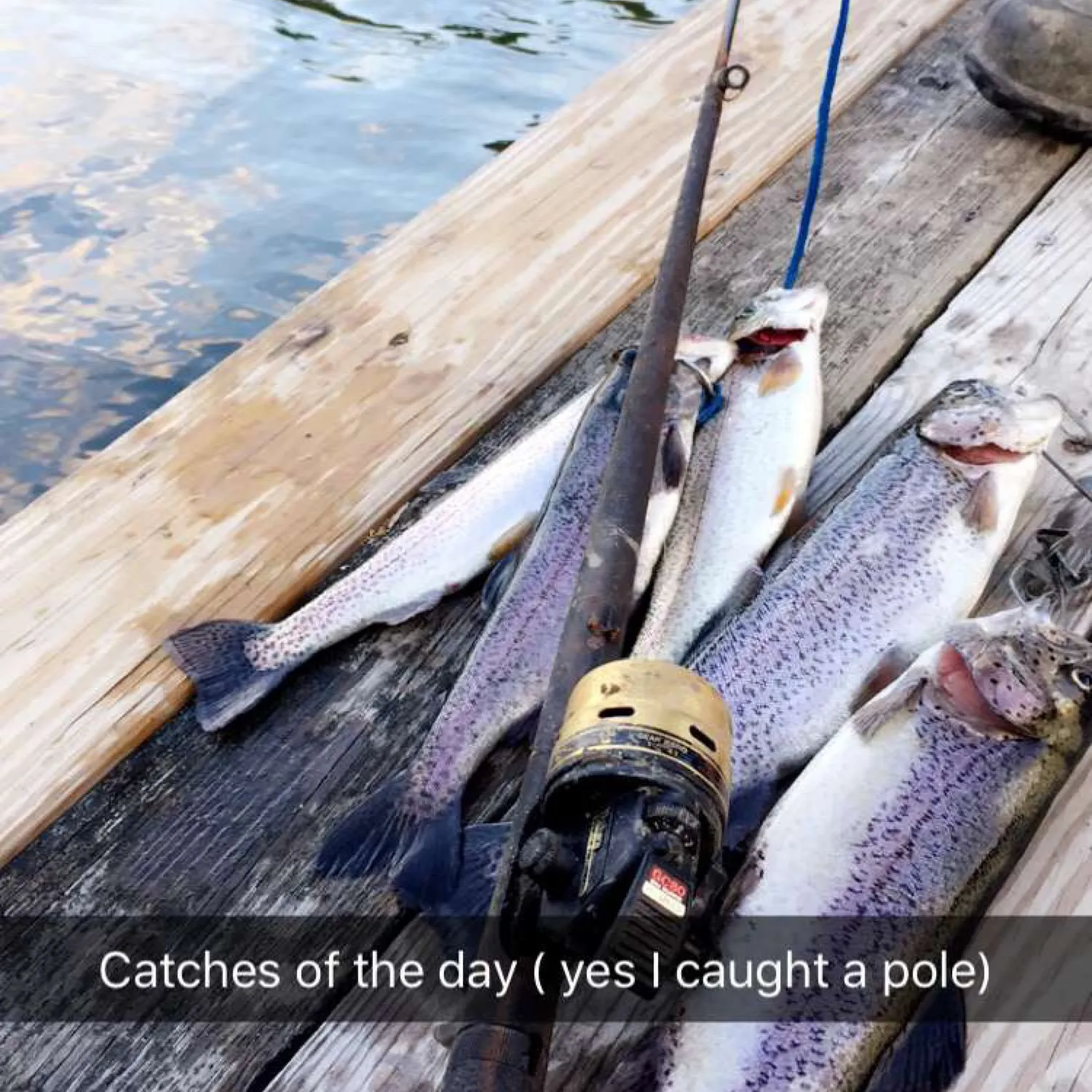 recently logged catches