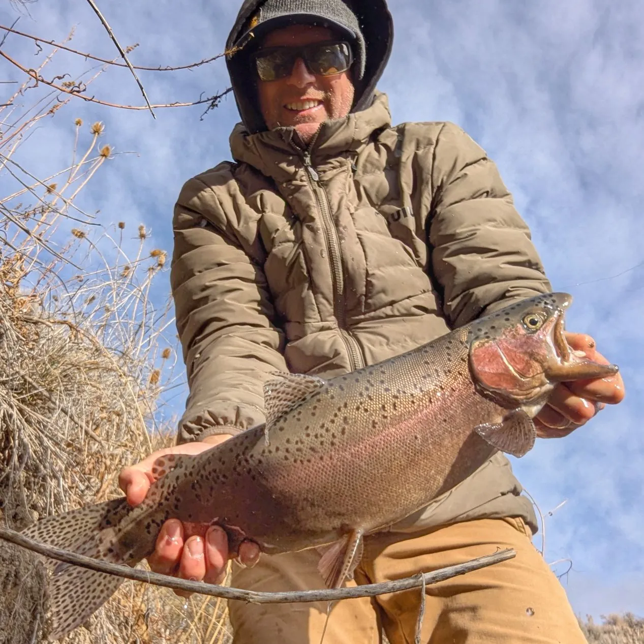 The most popular recent Great basin redband trout catch on Fishbrain