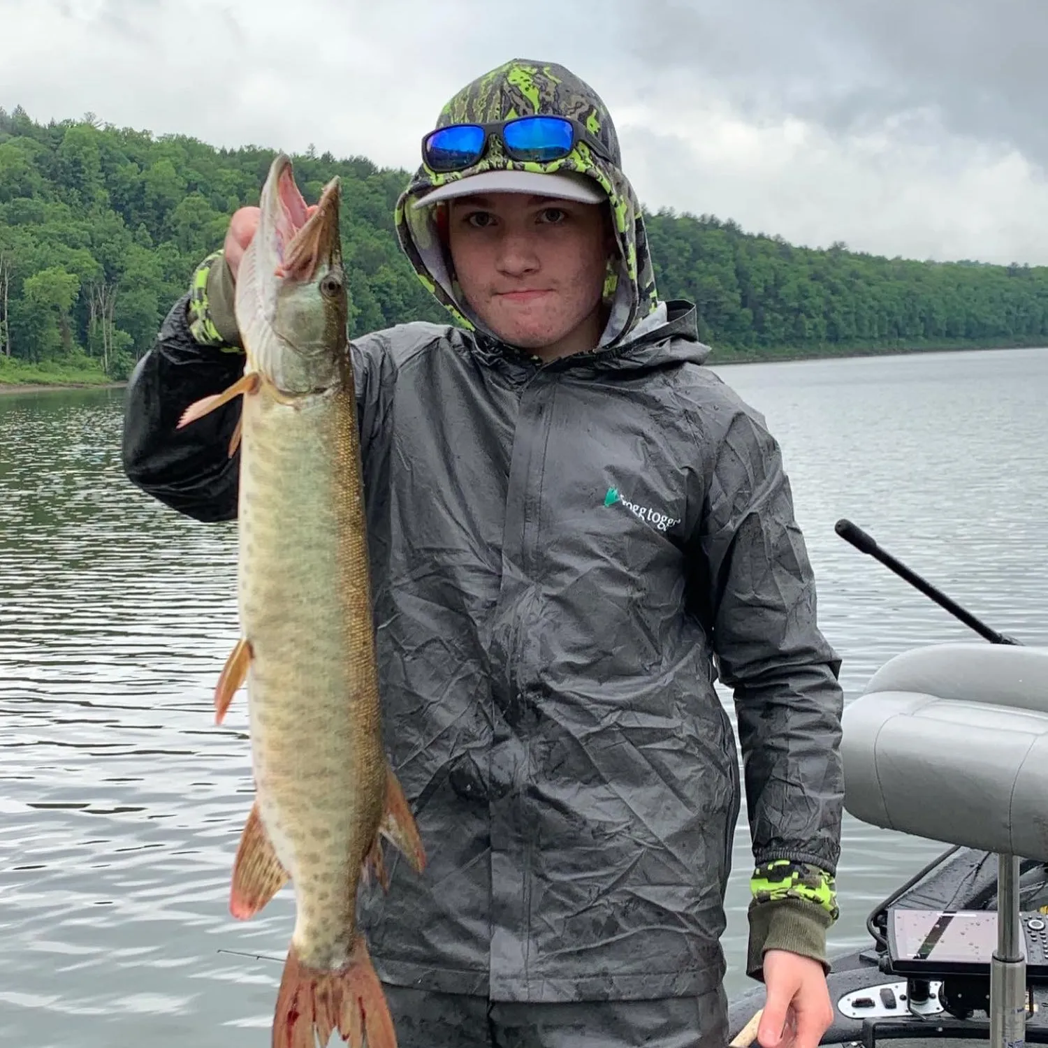 ᐅ Tionesta Lake fishing reports🎣• Oil City, PA (United States) fishing