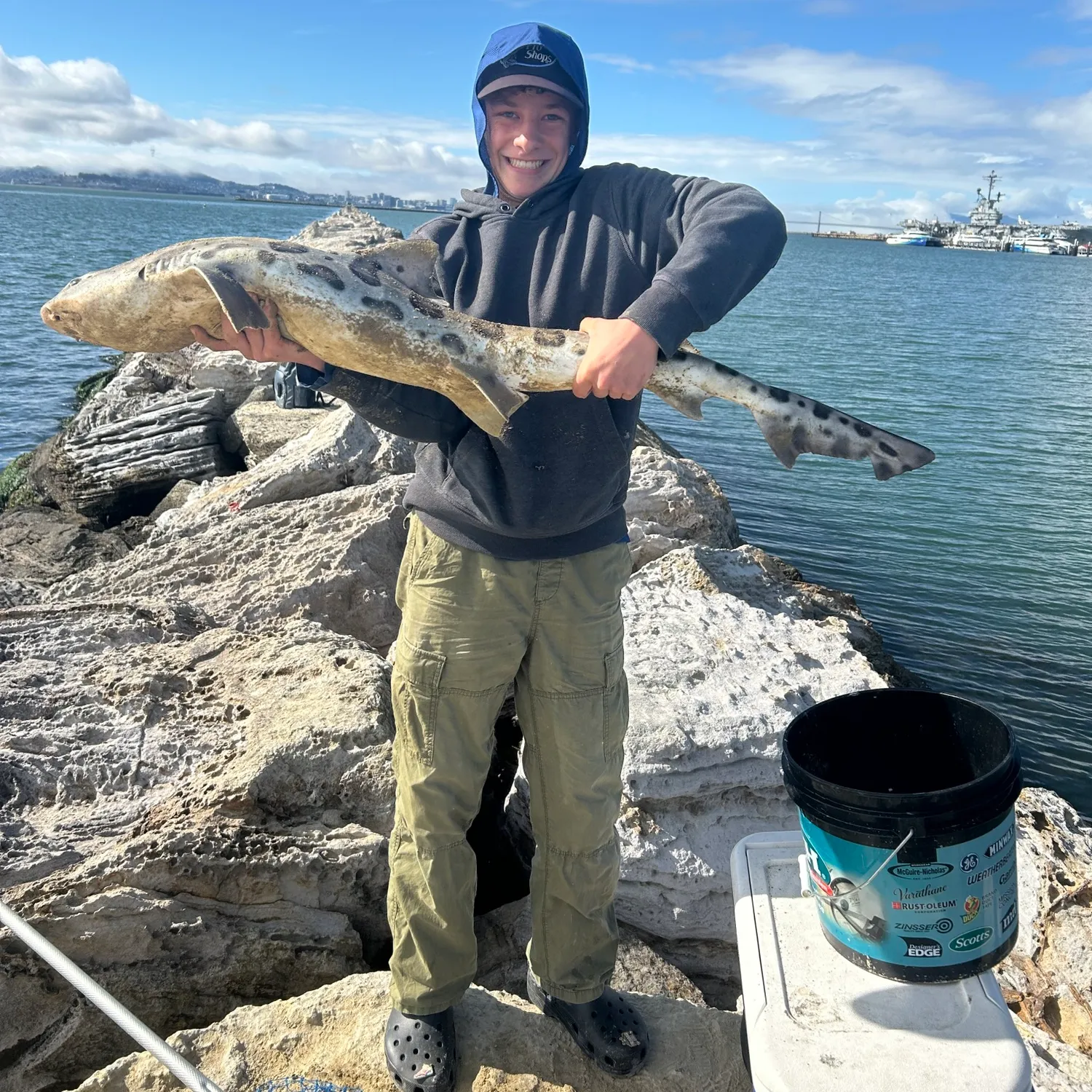 The most popular recent Leopard shark catch on Fishbrain