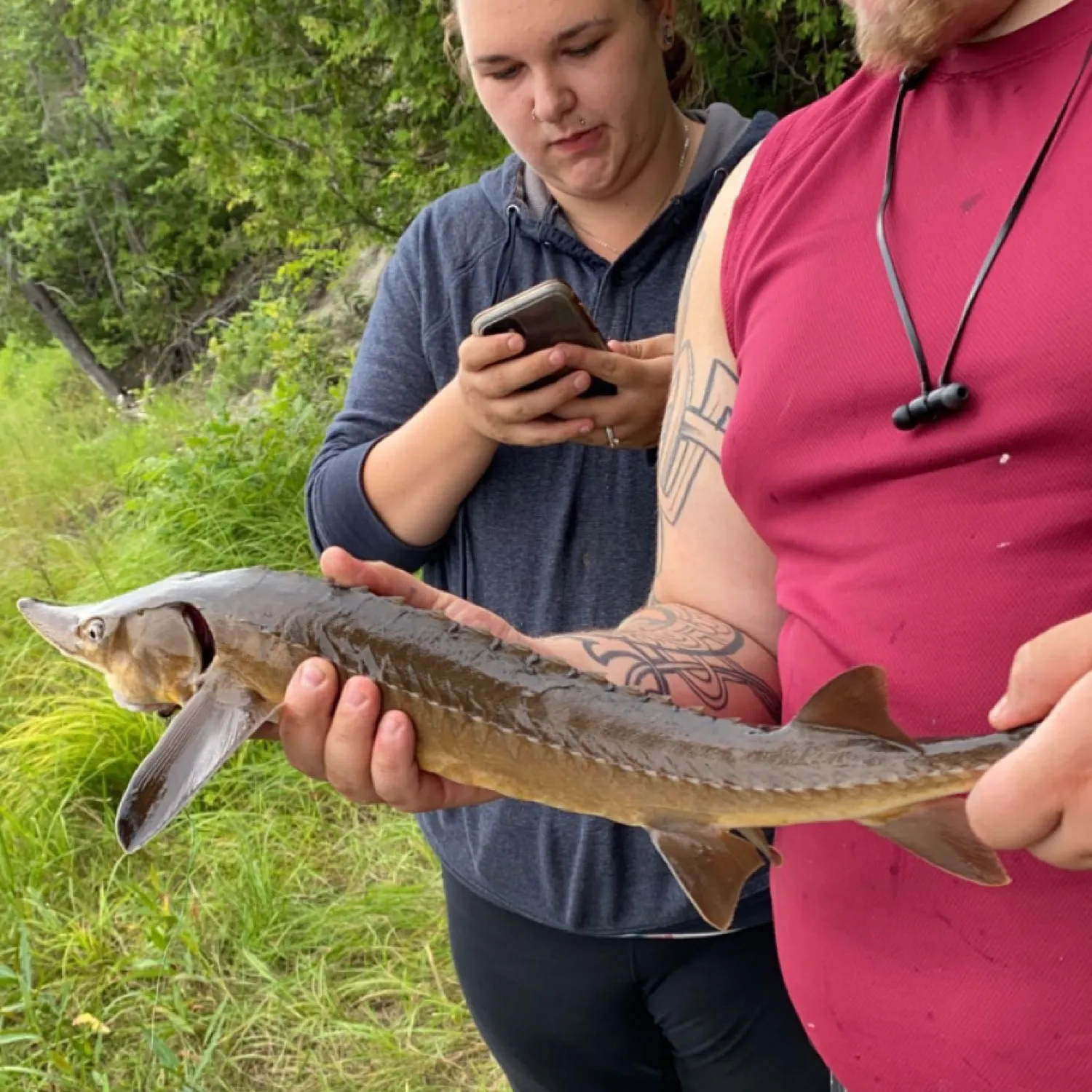 recently logged catches