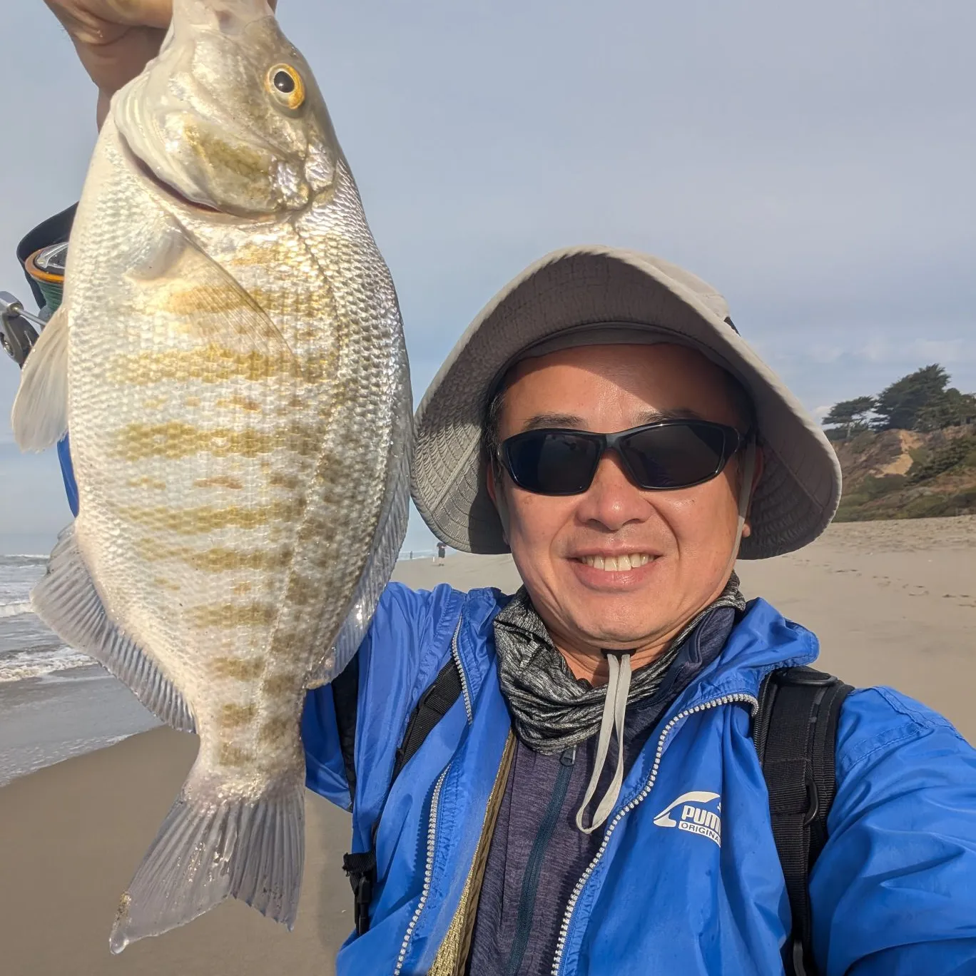 The most popular recent Barred surfperch catch on Fishbrain