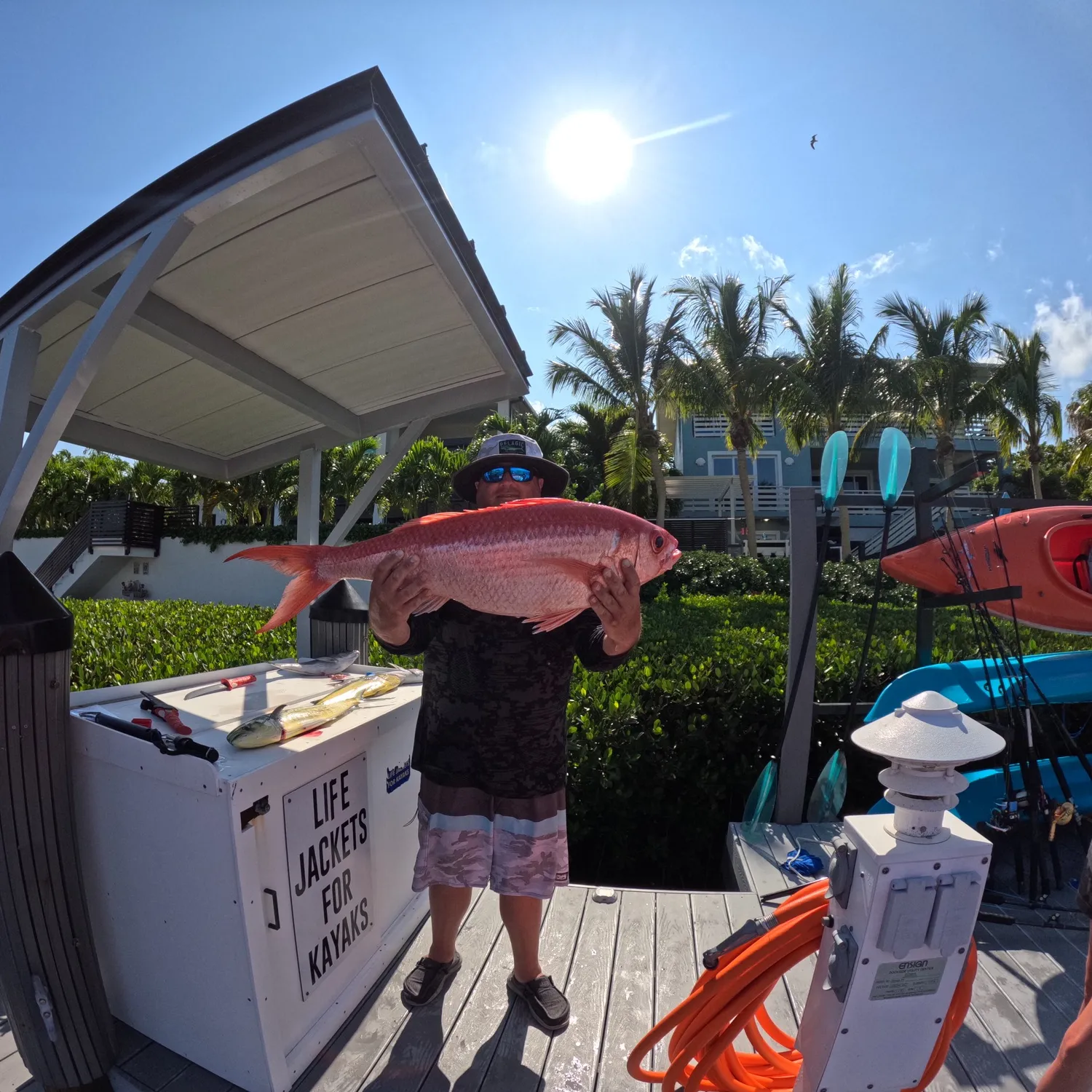 The most popular recent Queen Snapper catch on Fishbrain