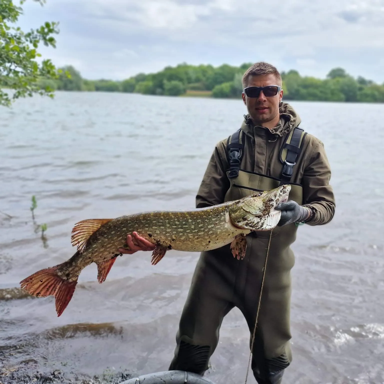 ᐅ River Roding fishing reports🎣• England, United Kingdom fishing