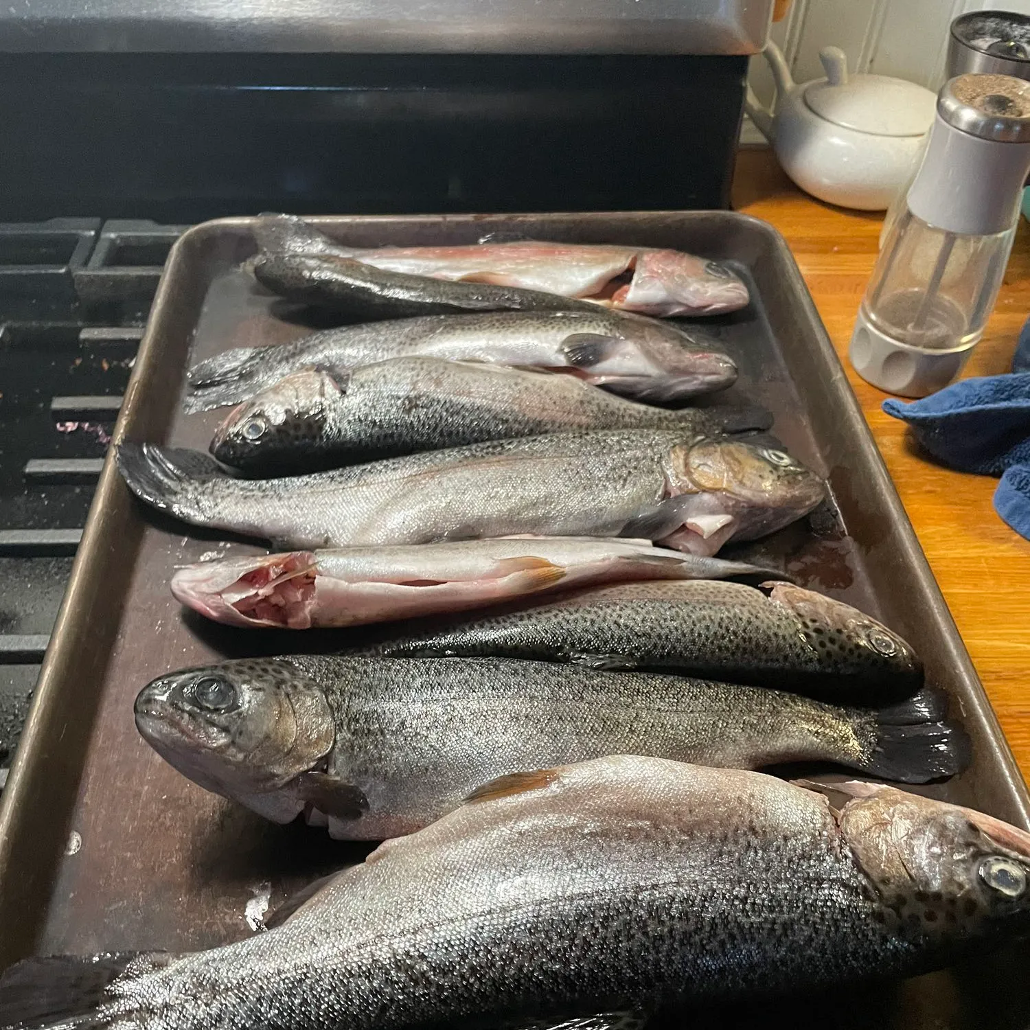 recently logged catches