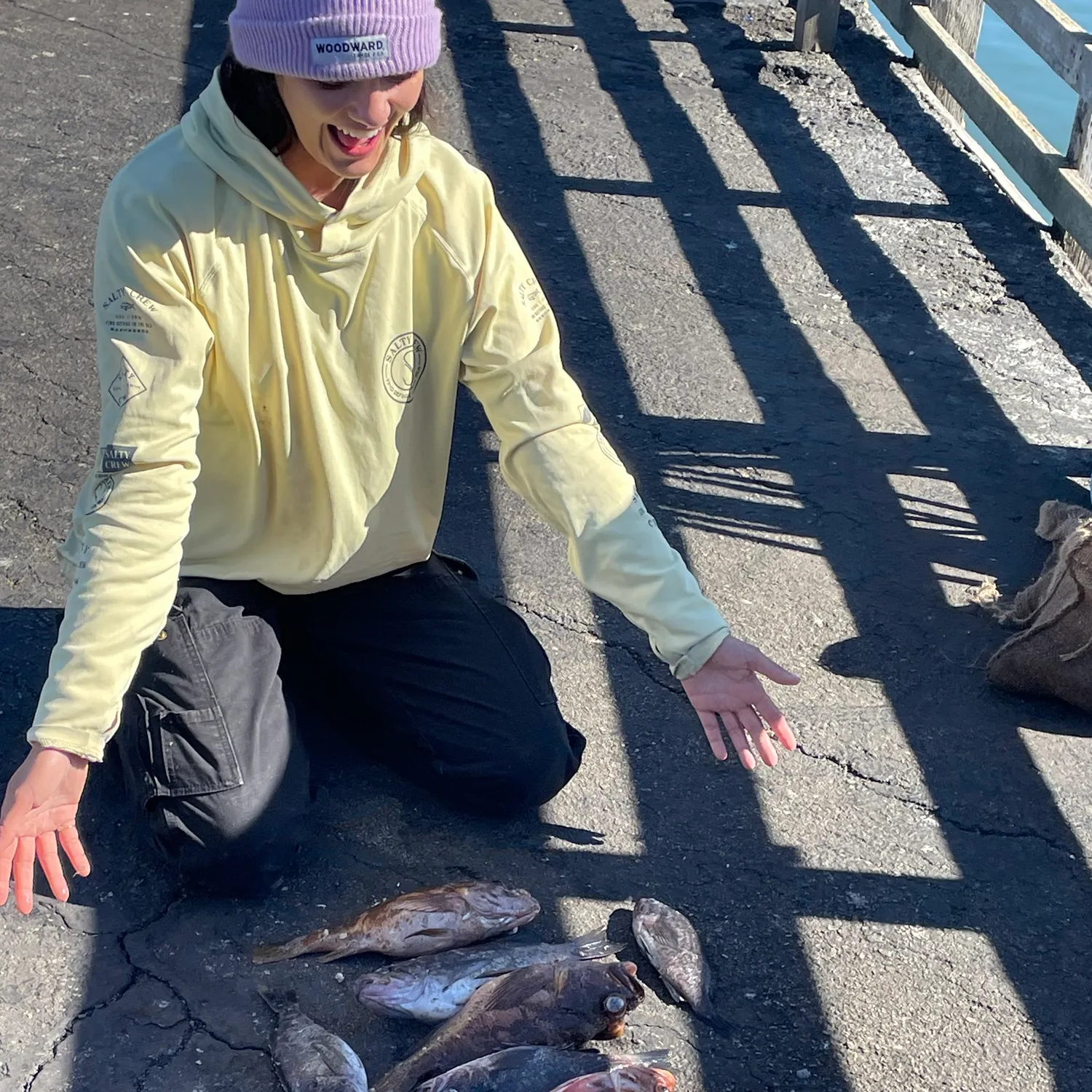 The most popular recent Blue rockfish catch on Fishbrain