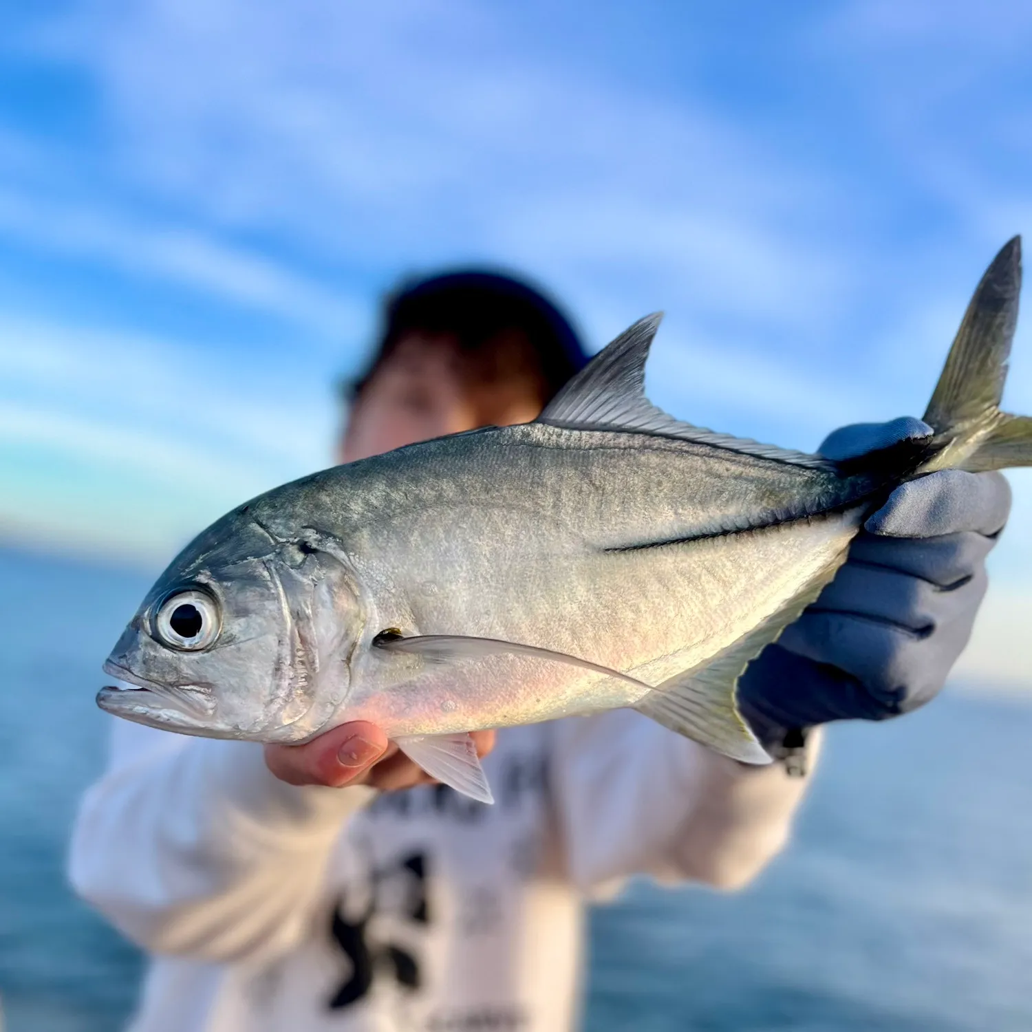 The most popular recent Pacific crevalle jack catch on Fishbrain