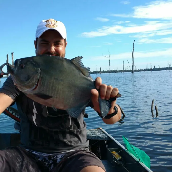 The most popular recent Redeye piranha catch on Fishbrain