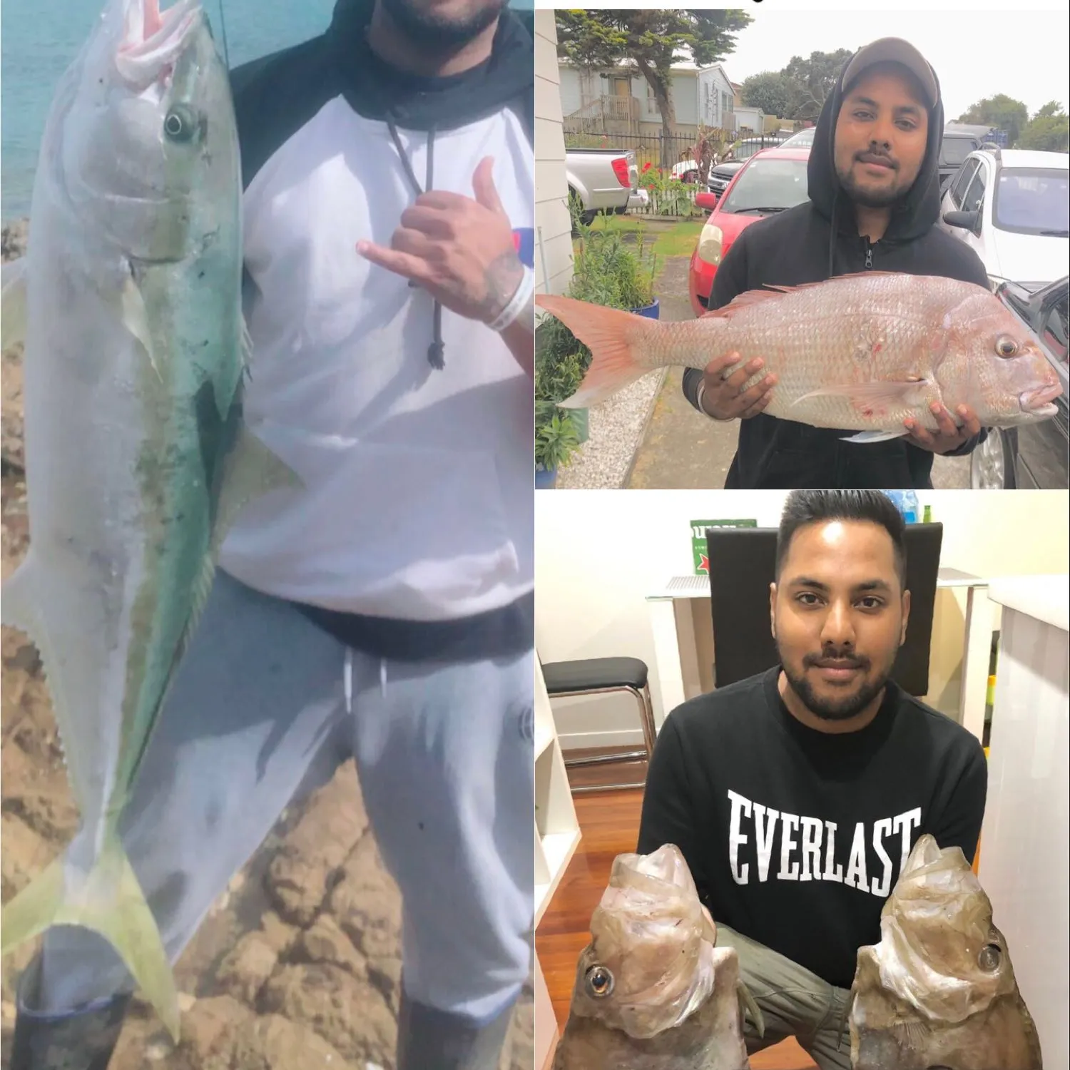 recently logged catches