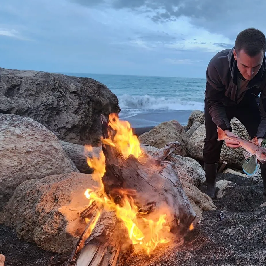 The most popular recent Cape Gurnard catch on Fishbrain