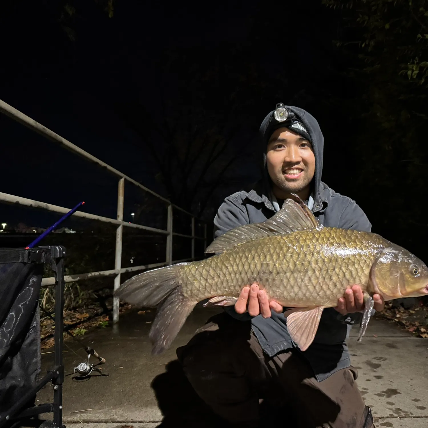 The most popular recent F1 carp catch on Fishbrain