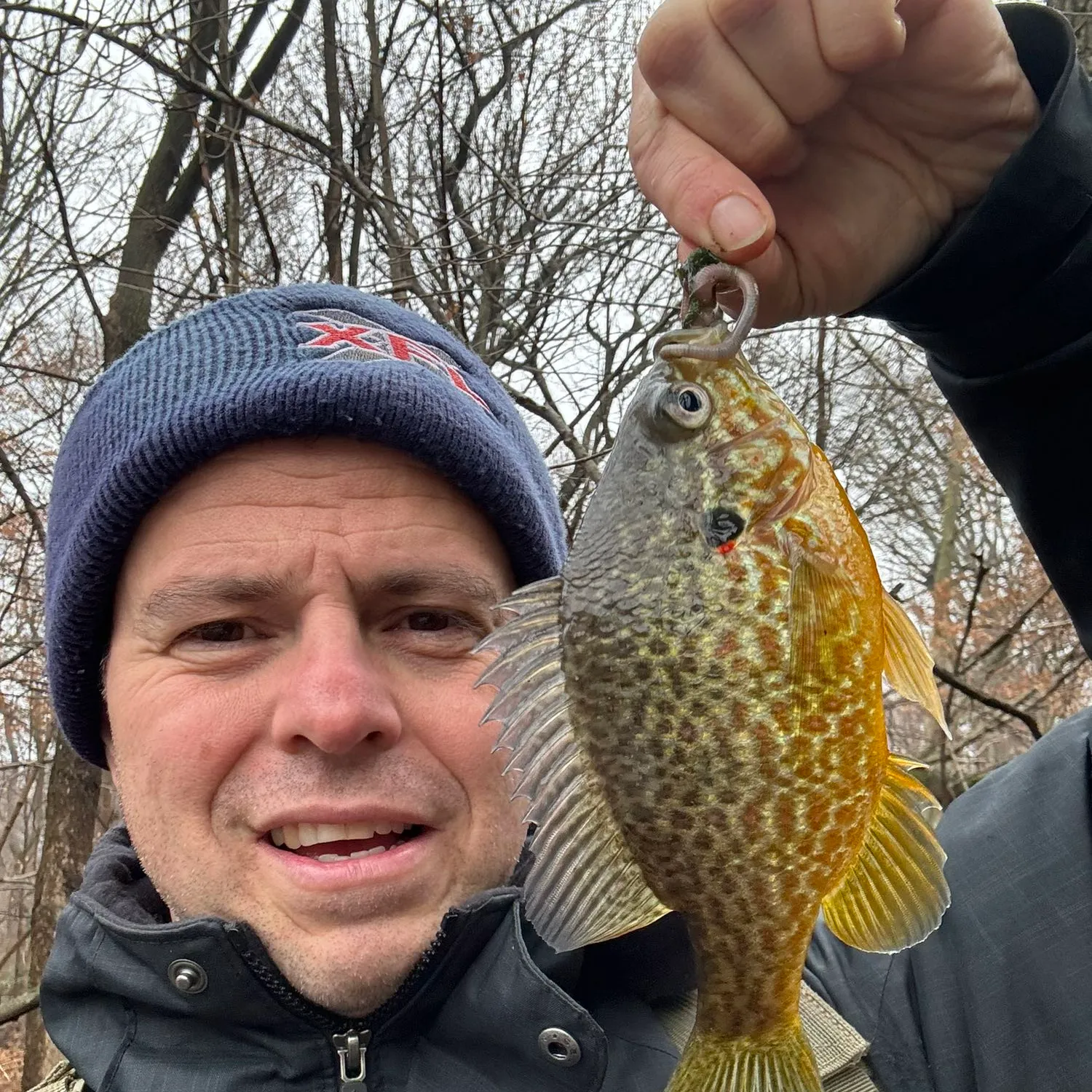 The most popular recent Pumpkinseed catch on Fishbrain