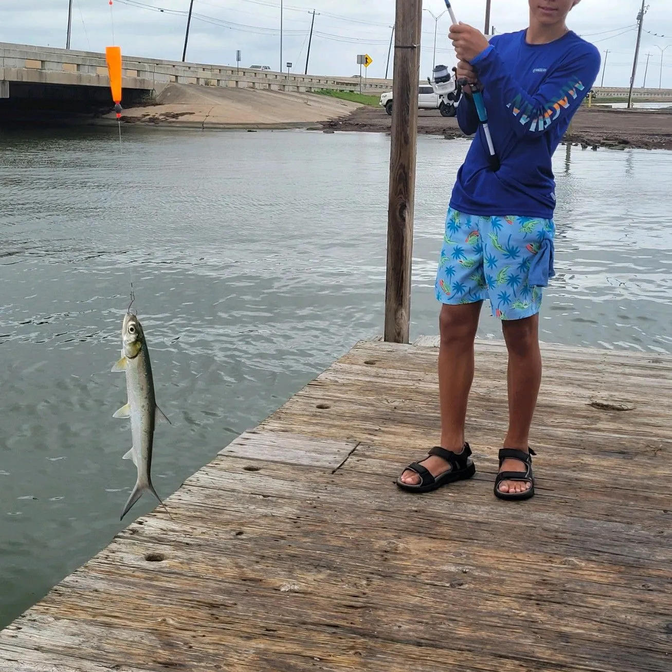 The most popular recent West African ladyfish catch on Fishbrain