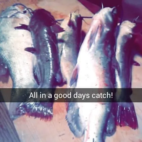 recently logged catches