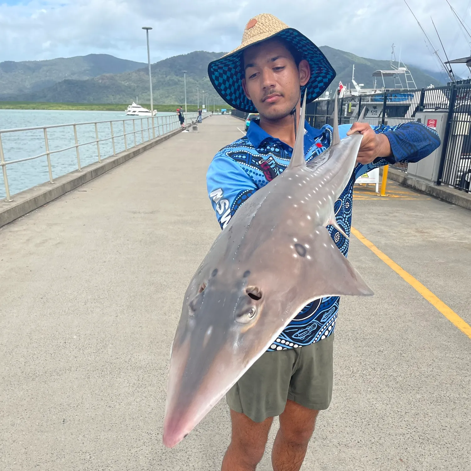 The most popular recent Giant guitarfish catch on Fishbrain