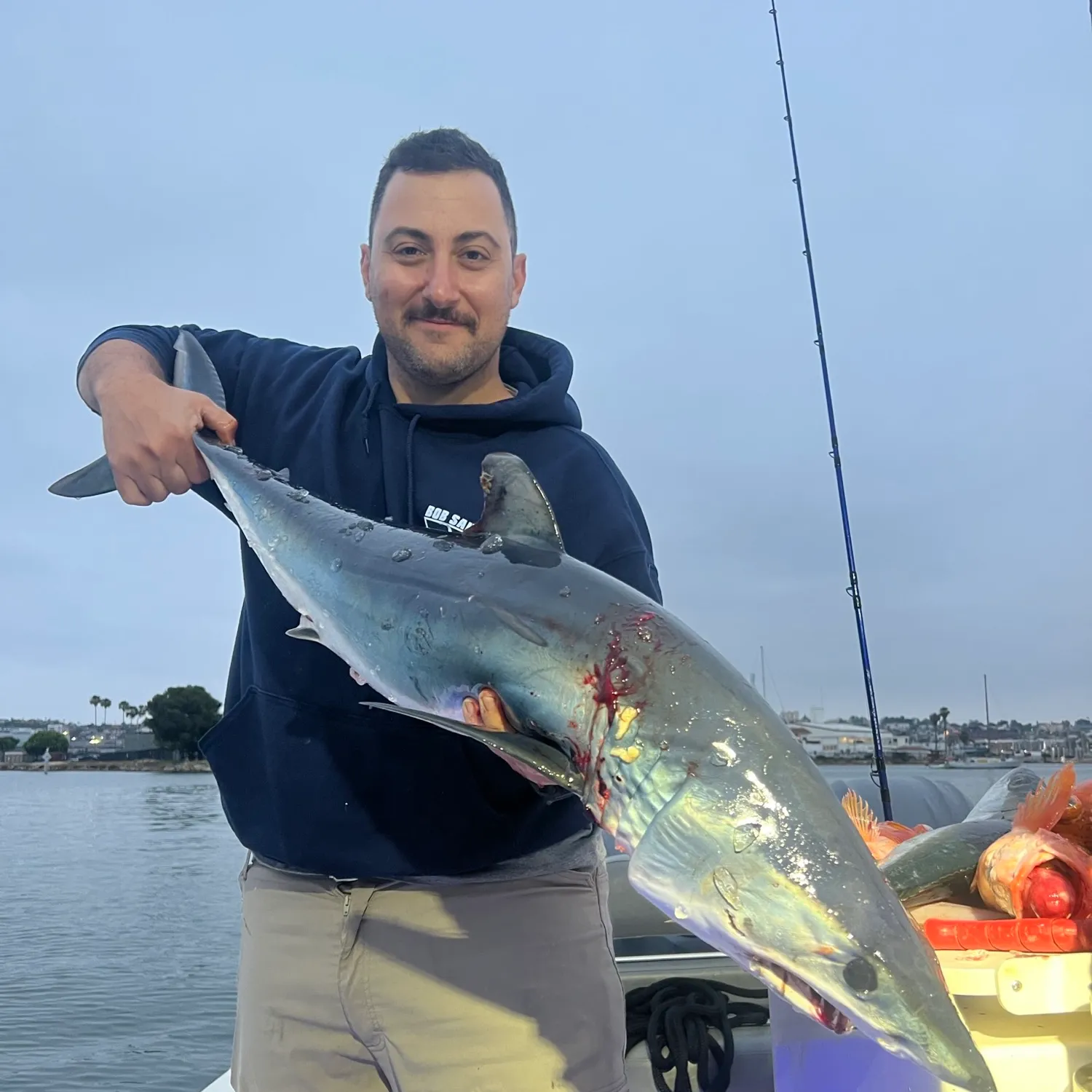 The most popular recent Shortfin mako shark catch on Fishbrain