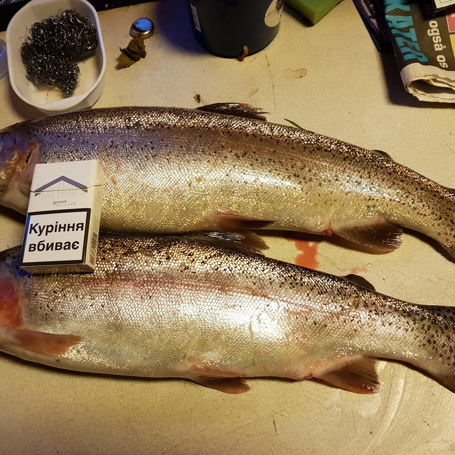 recently logged catches