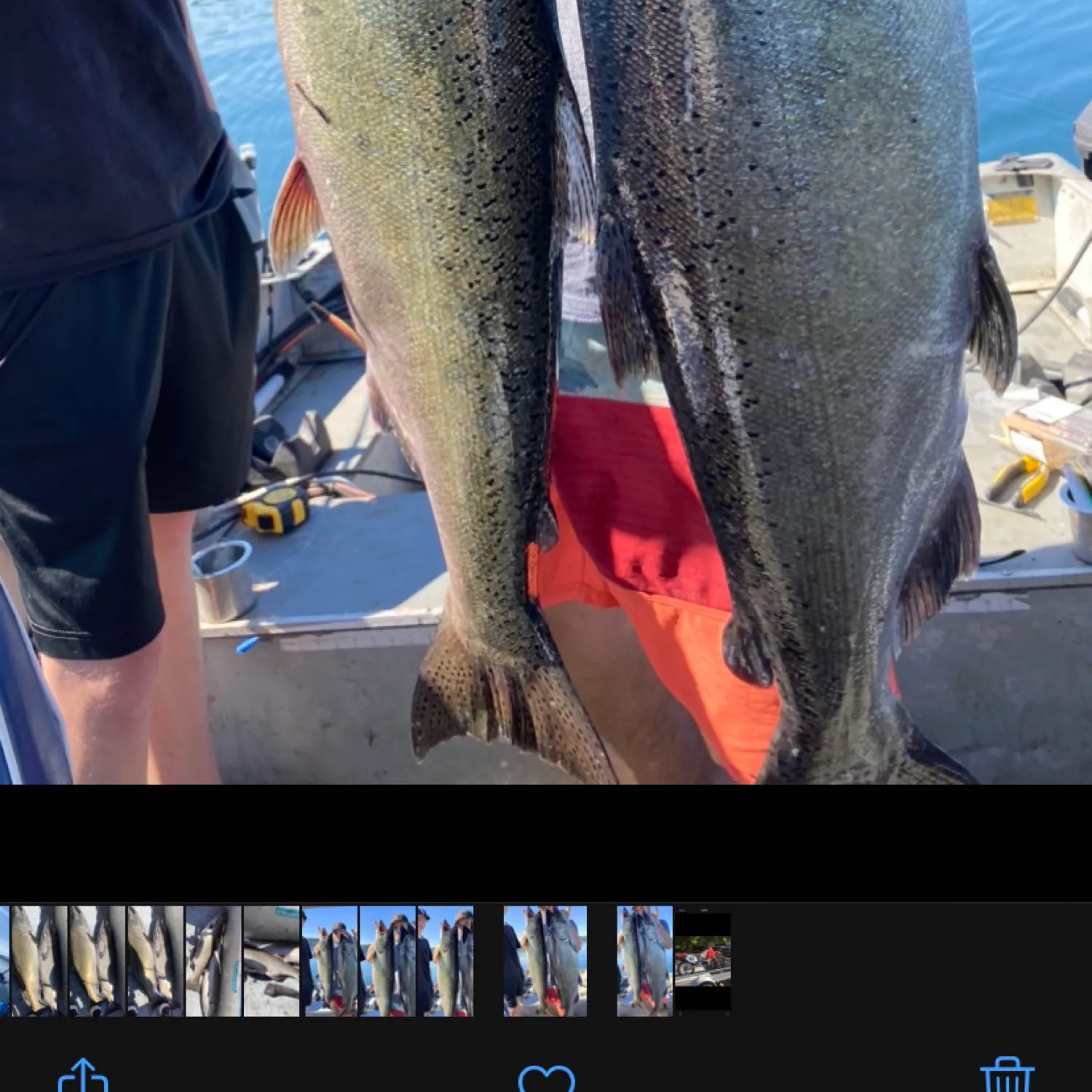 recently logged catches