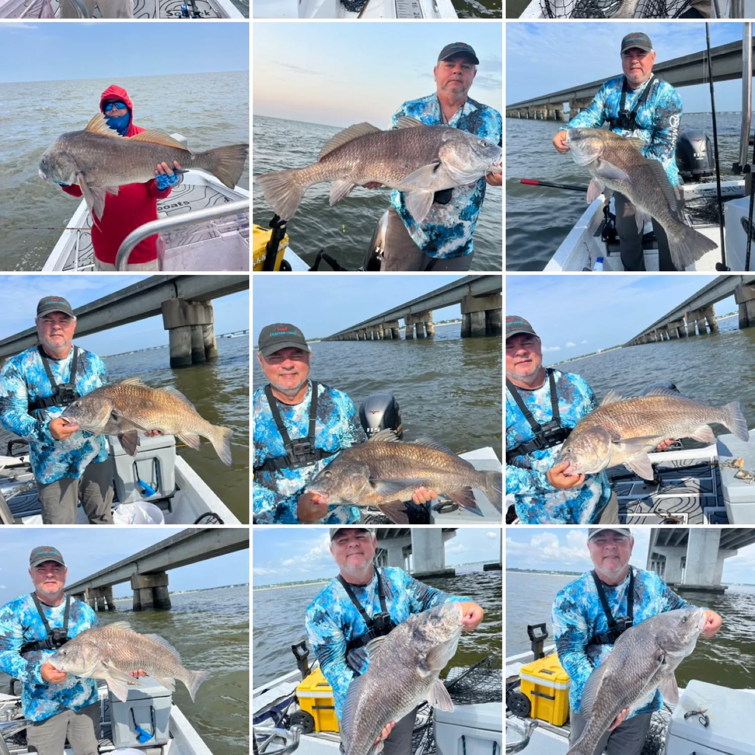 recently logged catches