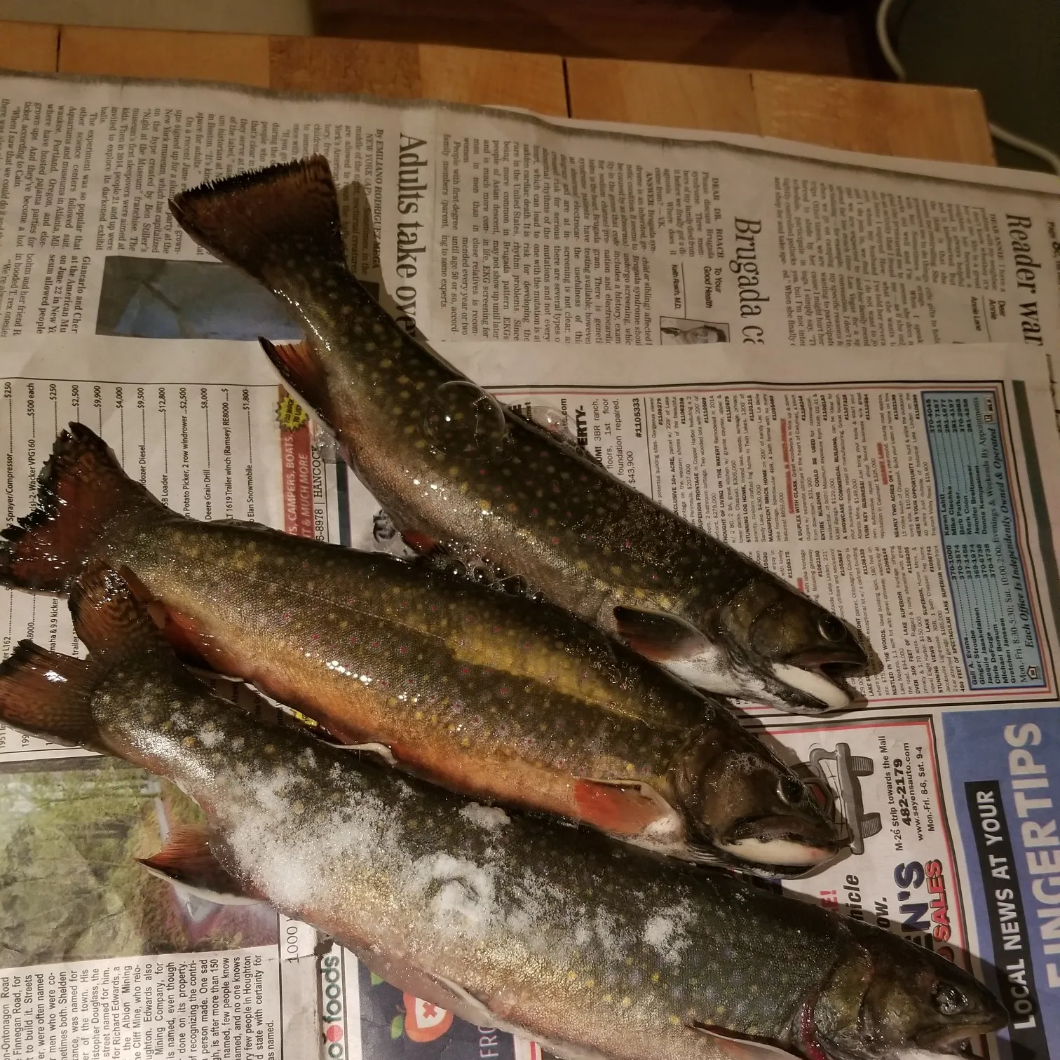 recently logged catches