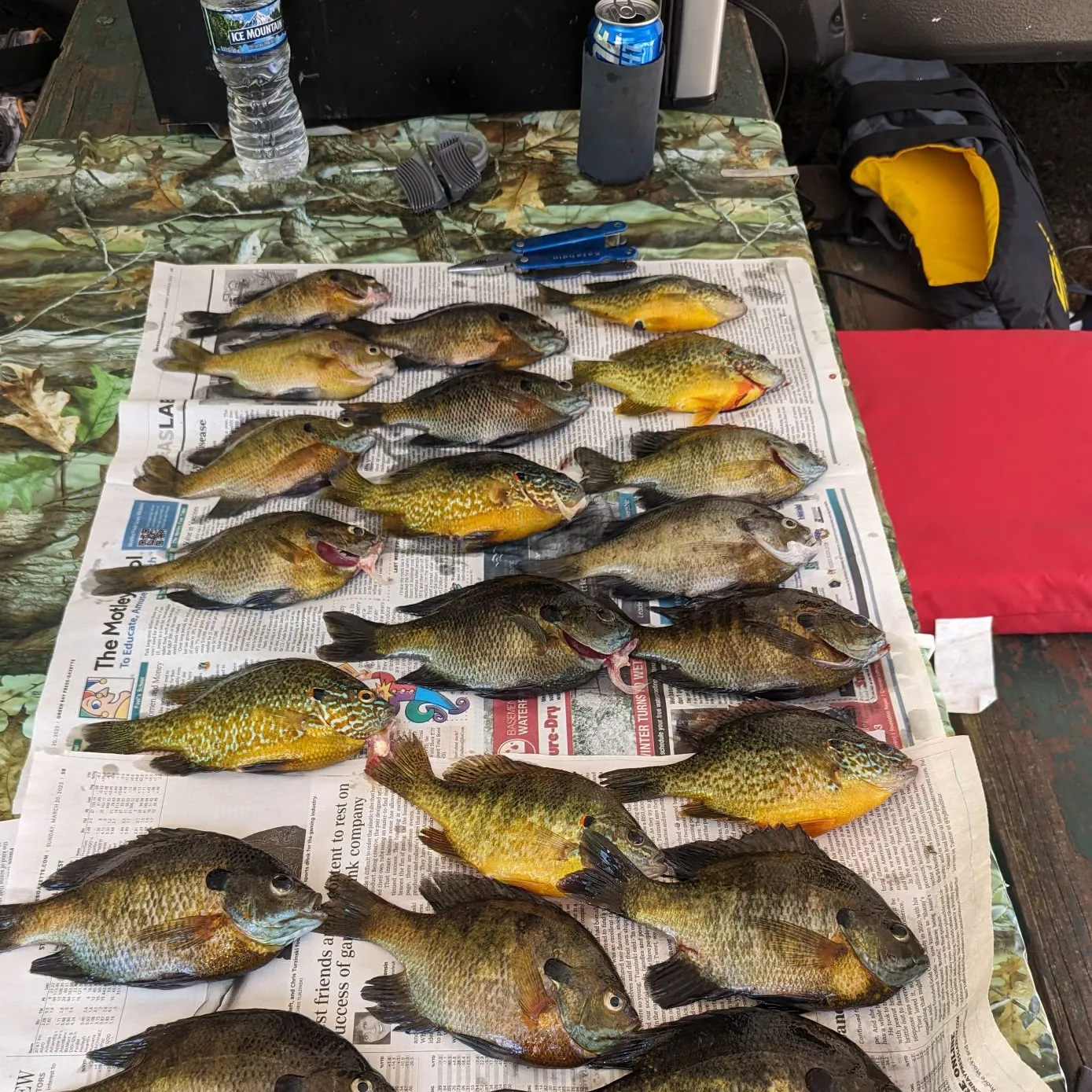 recently logged catches