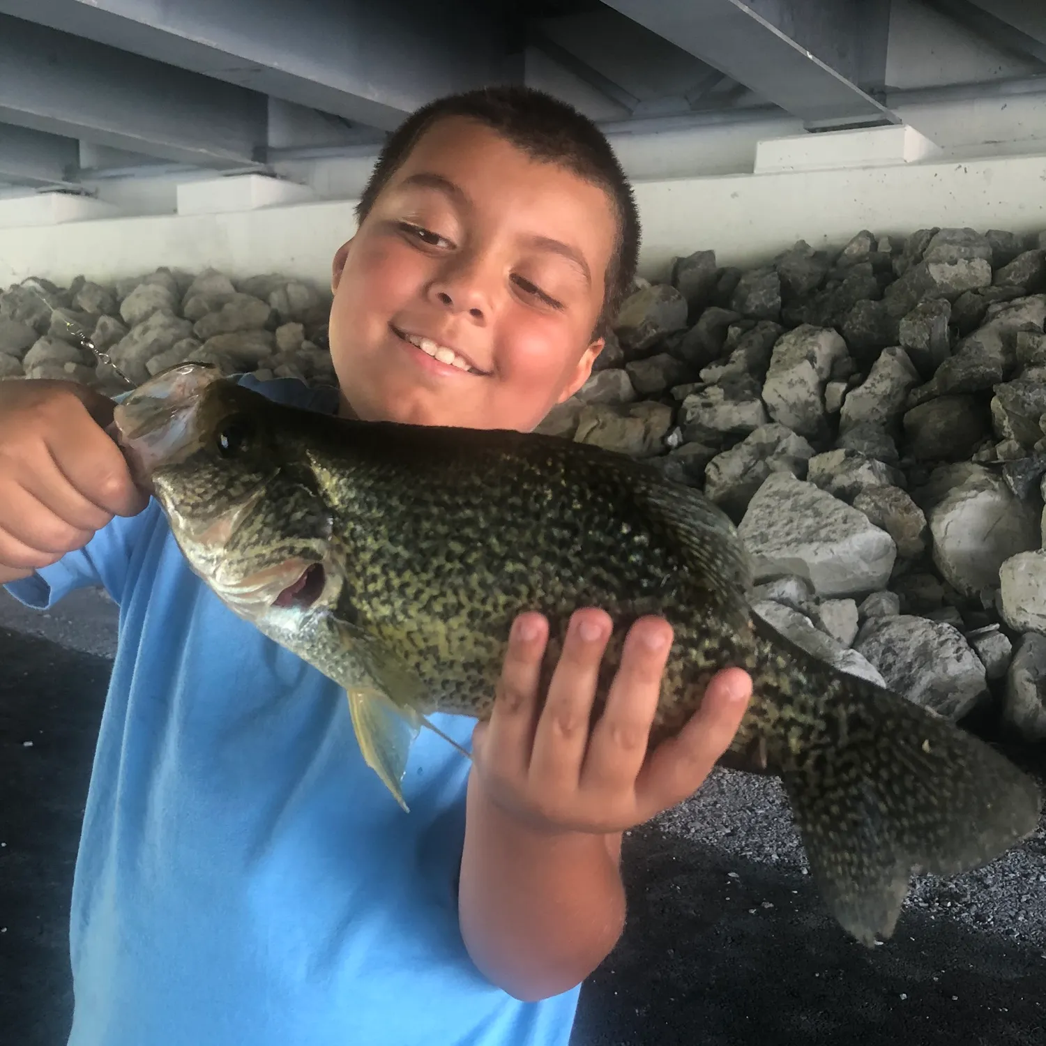 ᐅ Wappinger Lake fishing reports🎣• Wappinger, NY (United States) fishing