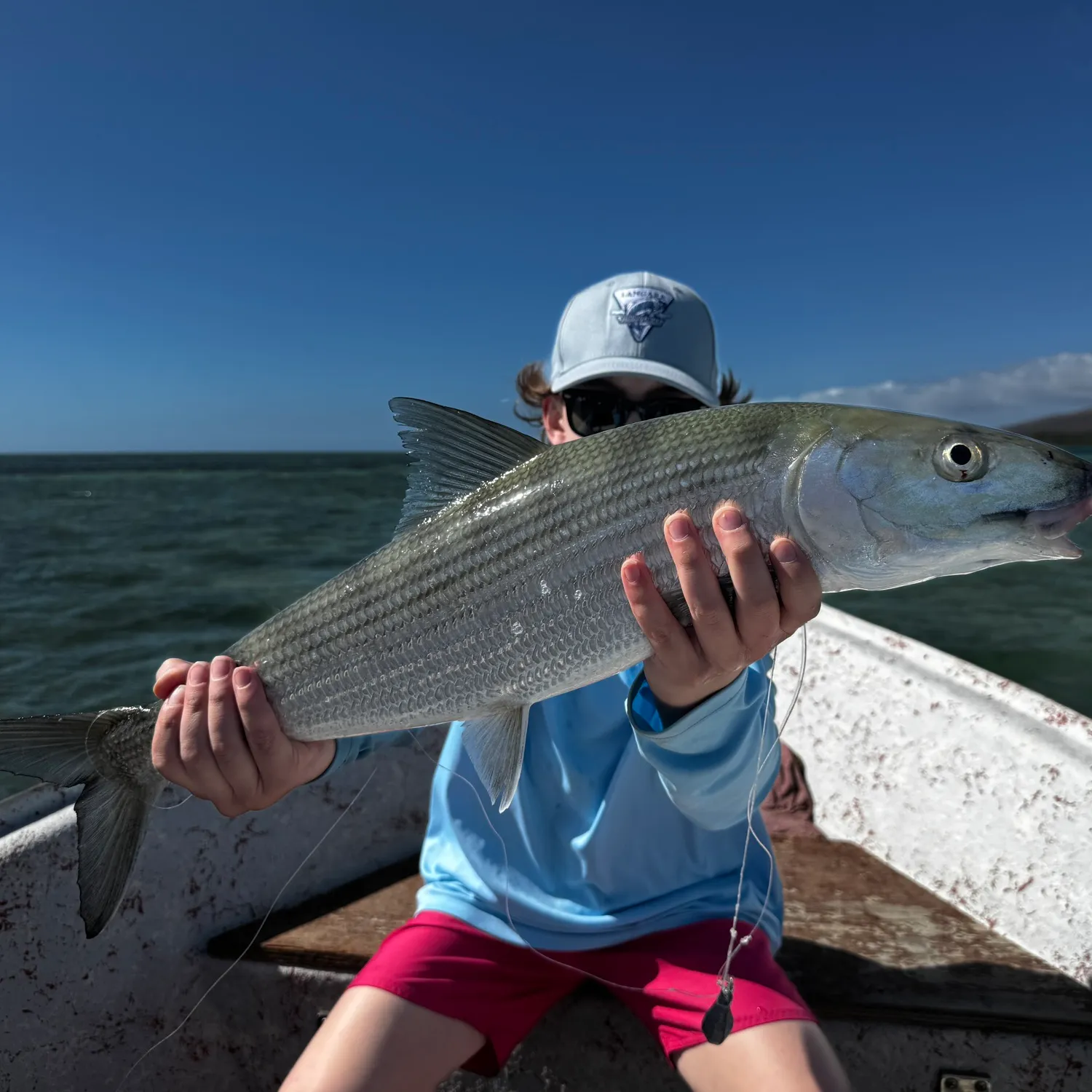 The most popular recent Pacific shafted bonefish catch on Fishbrain