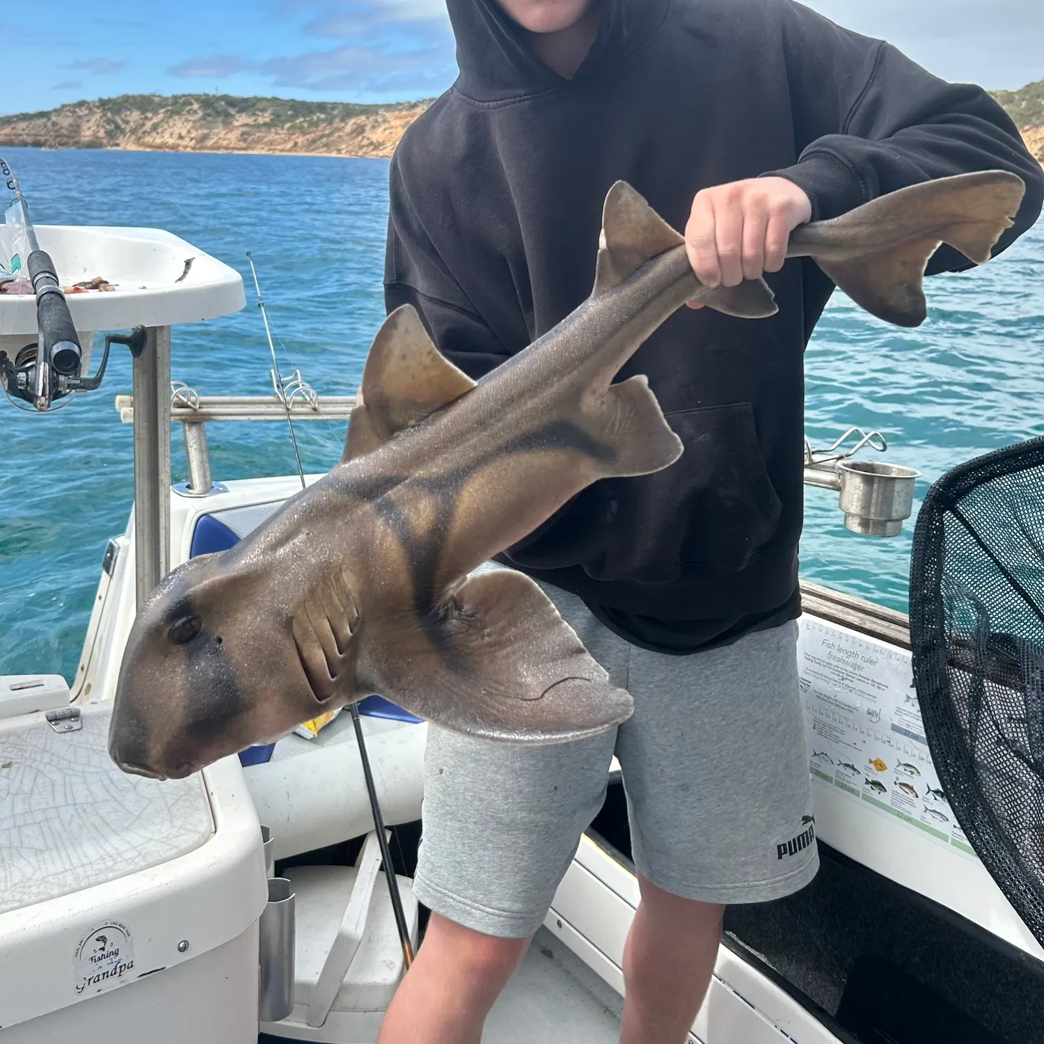 The most popular recent Port Jackson shark catch on Fishbrain