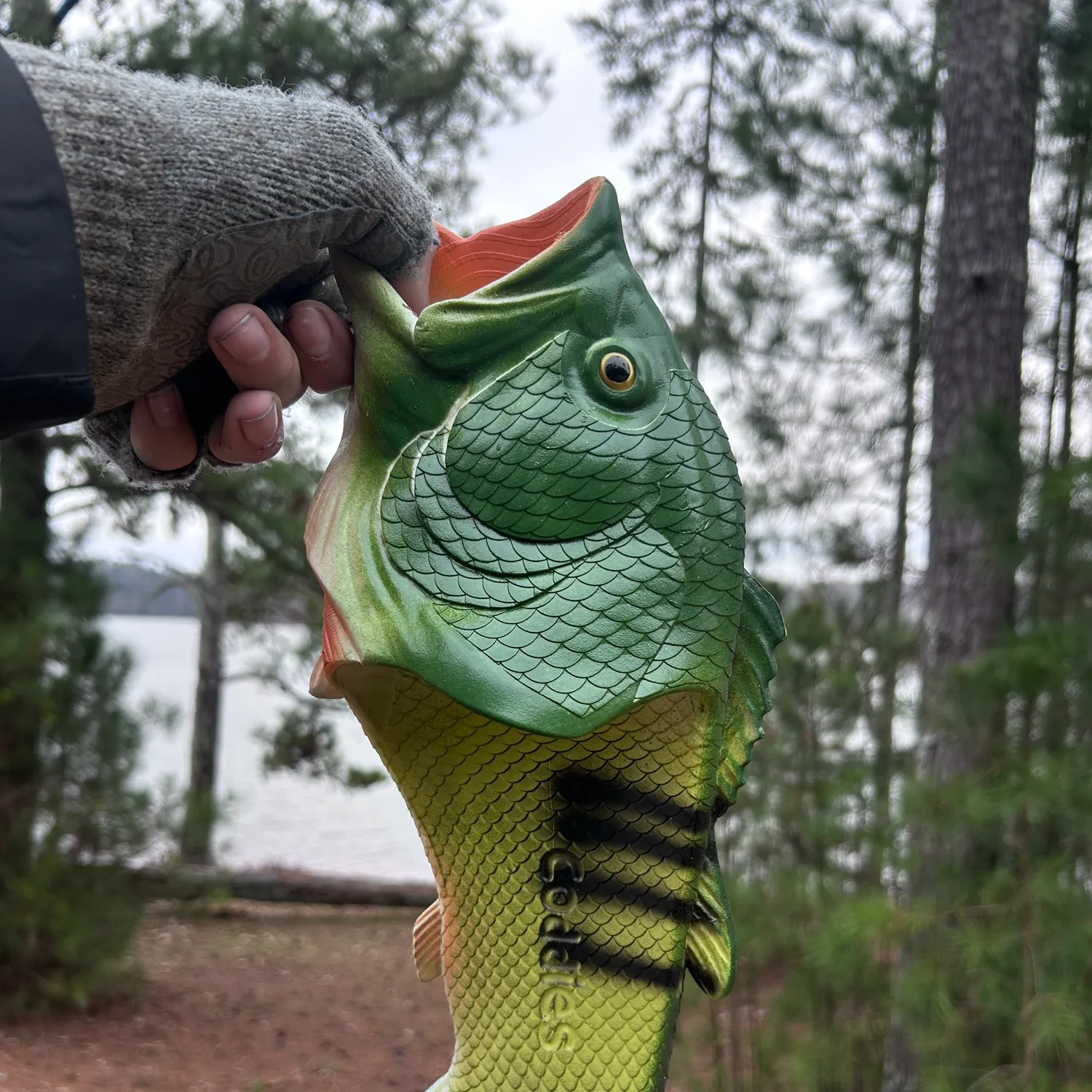 The most popular recent Redeye bass catch on Fishbrain