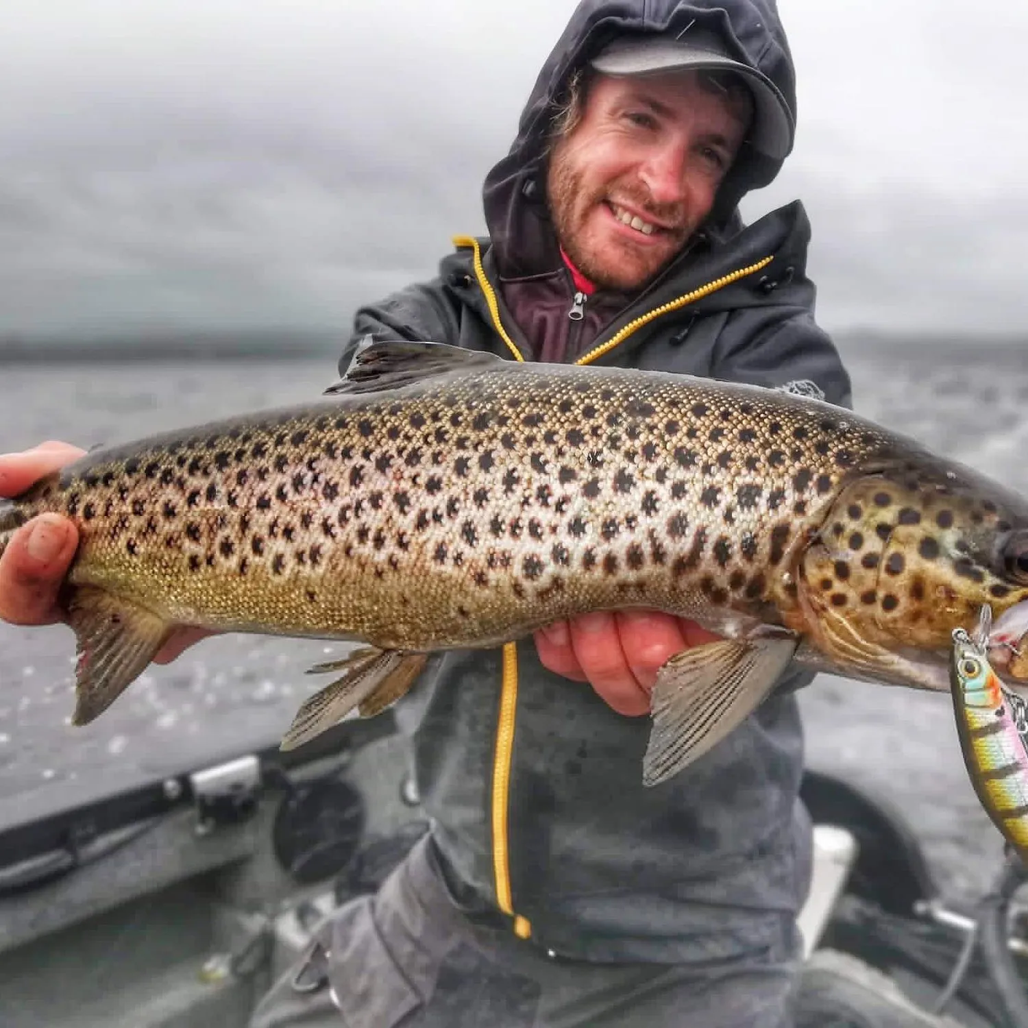 The most popular recent Lake trout catch on Fishbrain