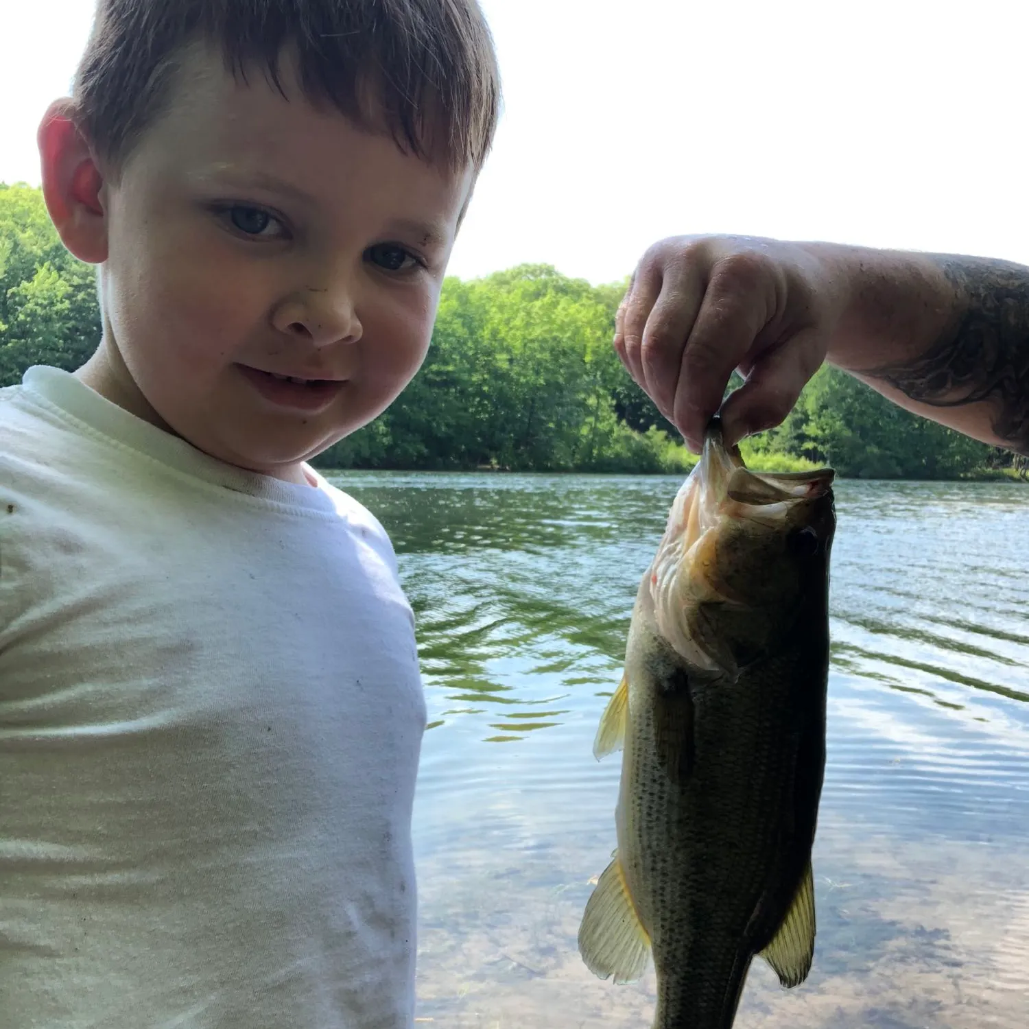 ᐅ Loughberry Lake fishing reports🎣• Saratoga Springs, NY (United States ...