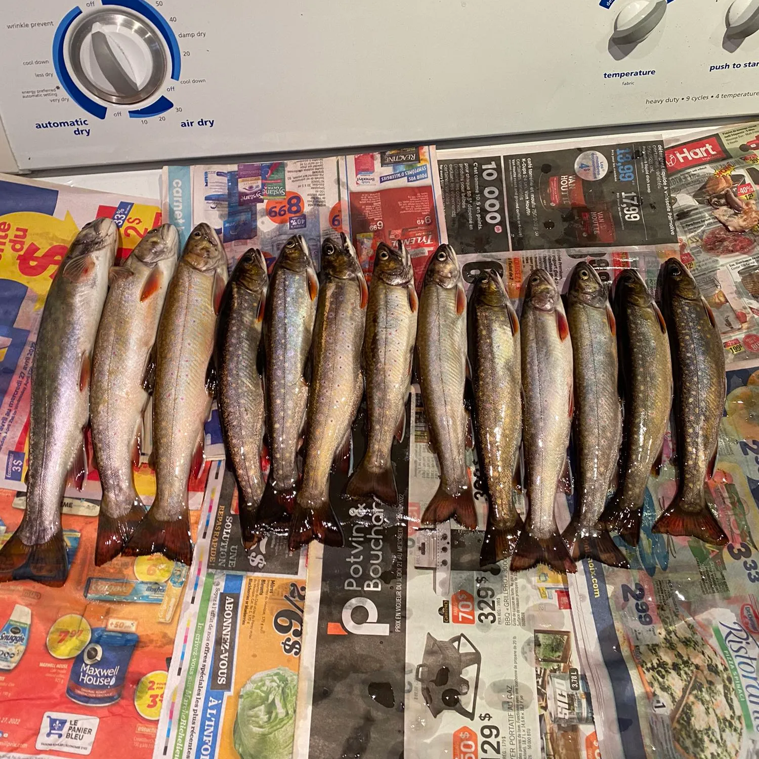 recently logged catches