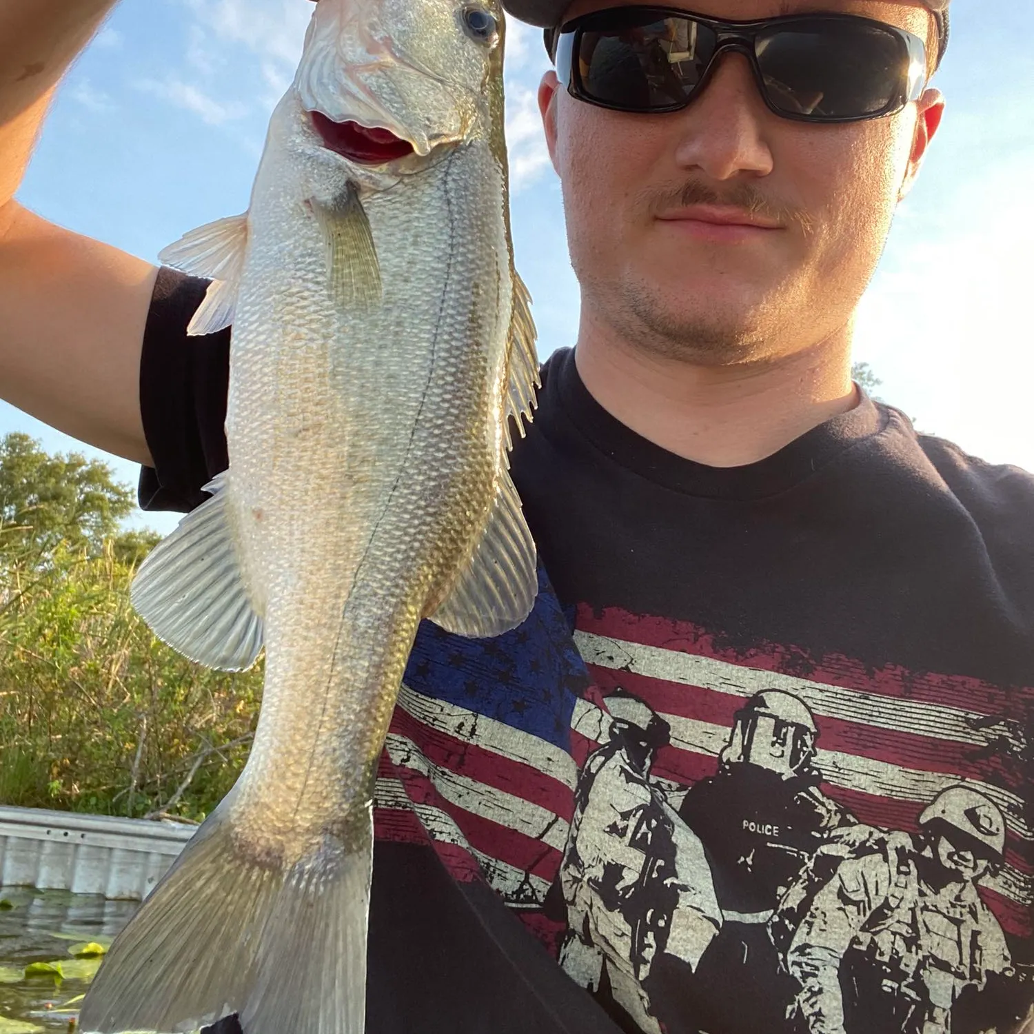 ᐅ Lake Link fishing reports🎣• Winter Haven, FL (United States) fishing