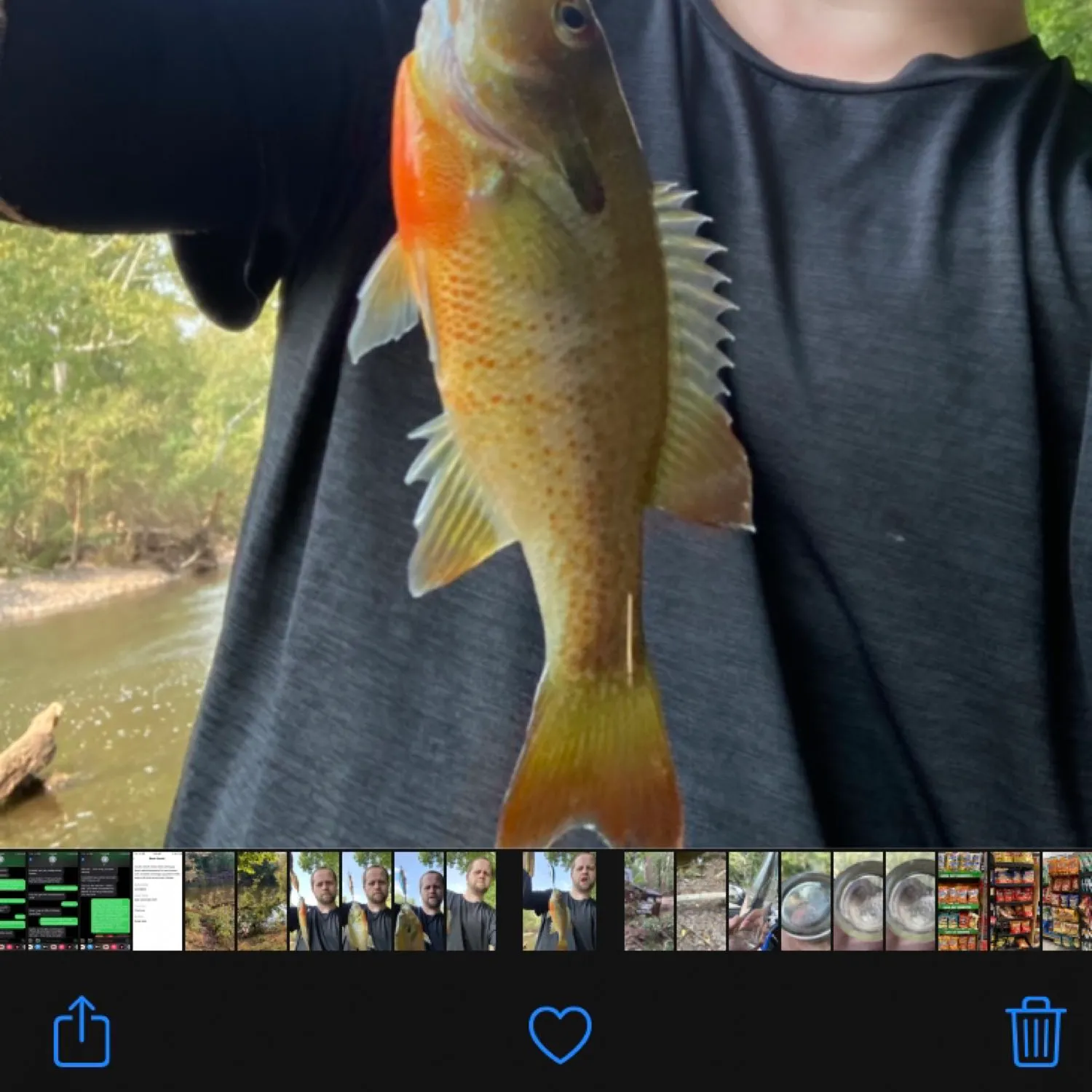 recently logged catches