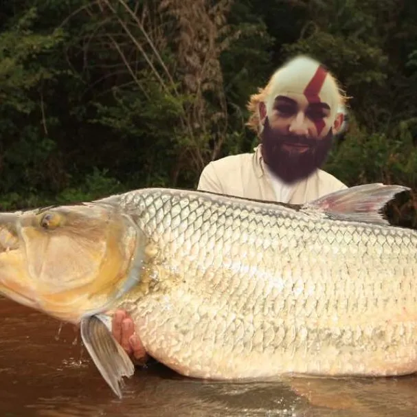 The most popular recent African tigerfish catch on Fishbrain