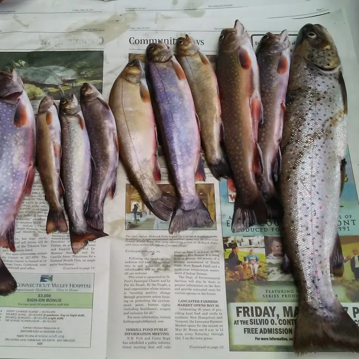 recently logged catches