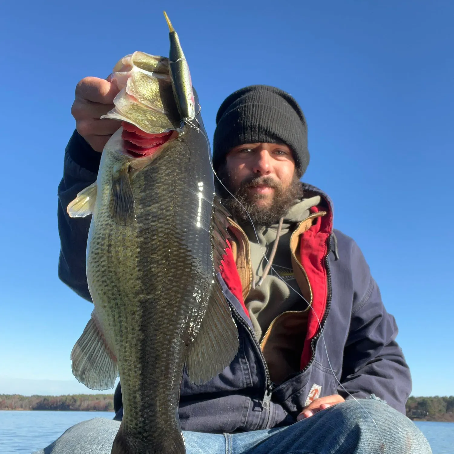 ᐅ Scituate Reservoir fishing reports🎣• Johnston, RI (United States) fishing