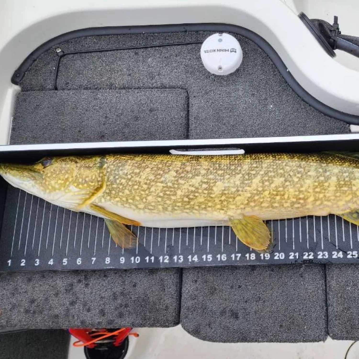 ᐅ Lake Skegemog Fishing Reports🎣• Traverse City, Mi (united States) Fishing