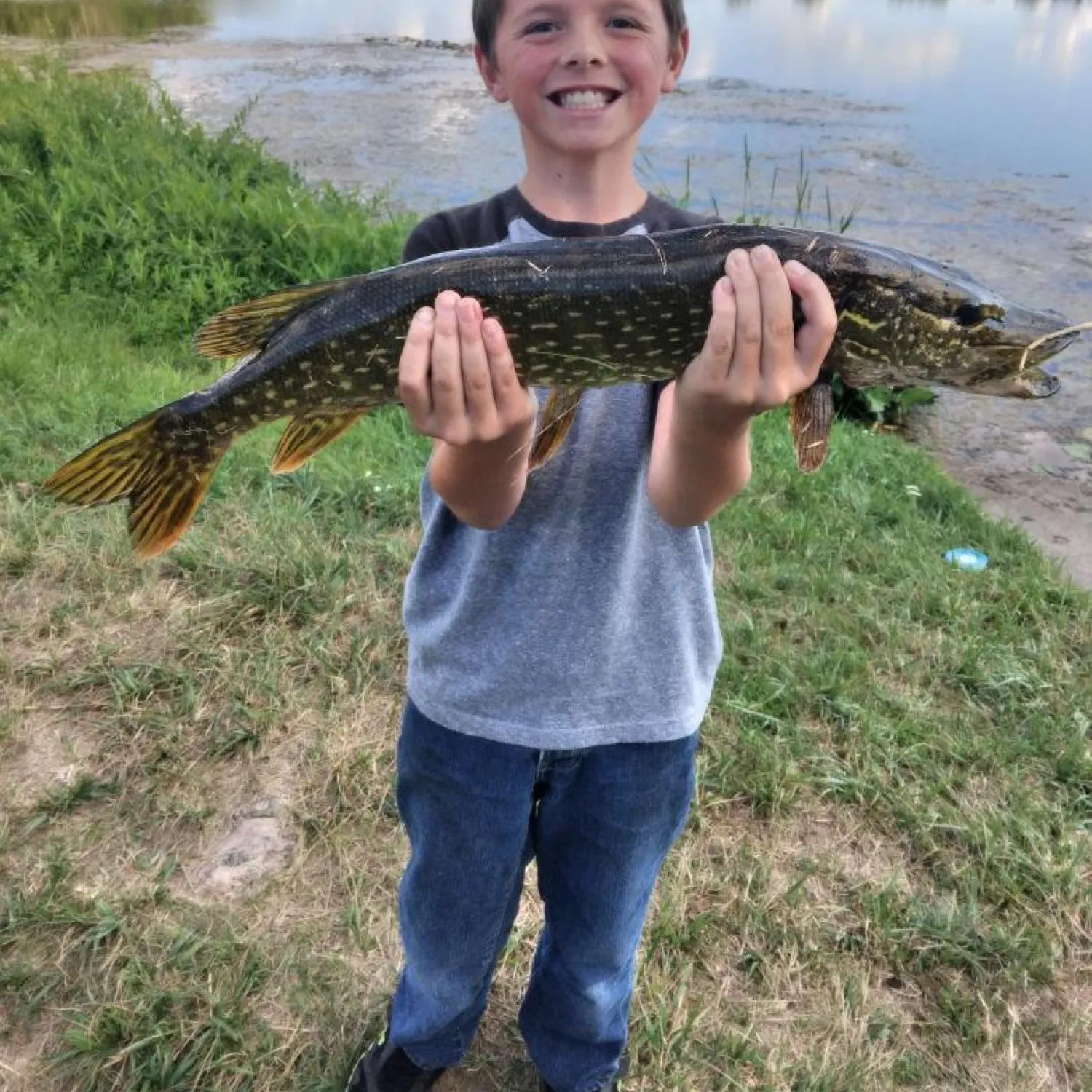 ᐅ Martiny Lake fishing reports🎣• Big Rapids, MI (United States) fishing